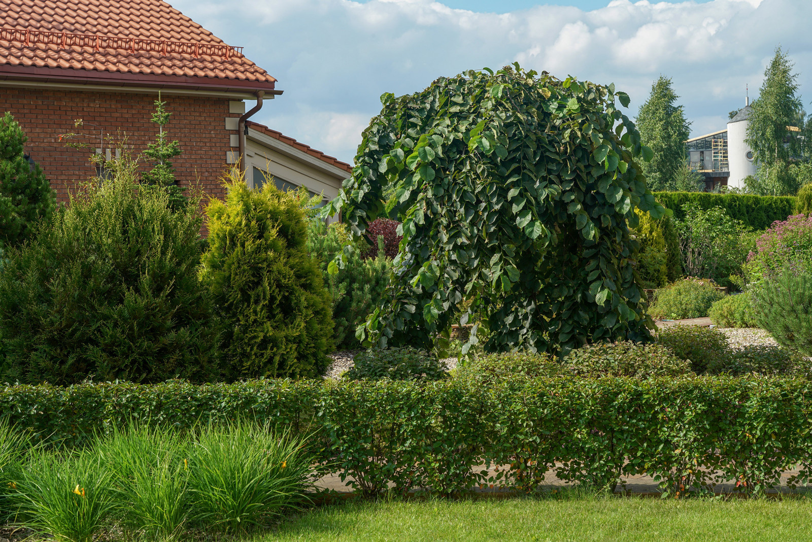 Проект недели: Пейзажный сад от телеведущей