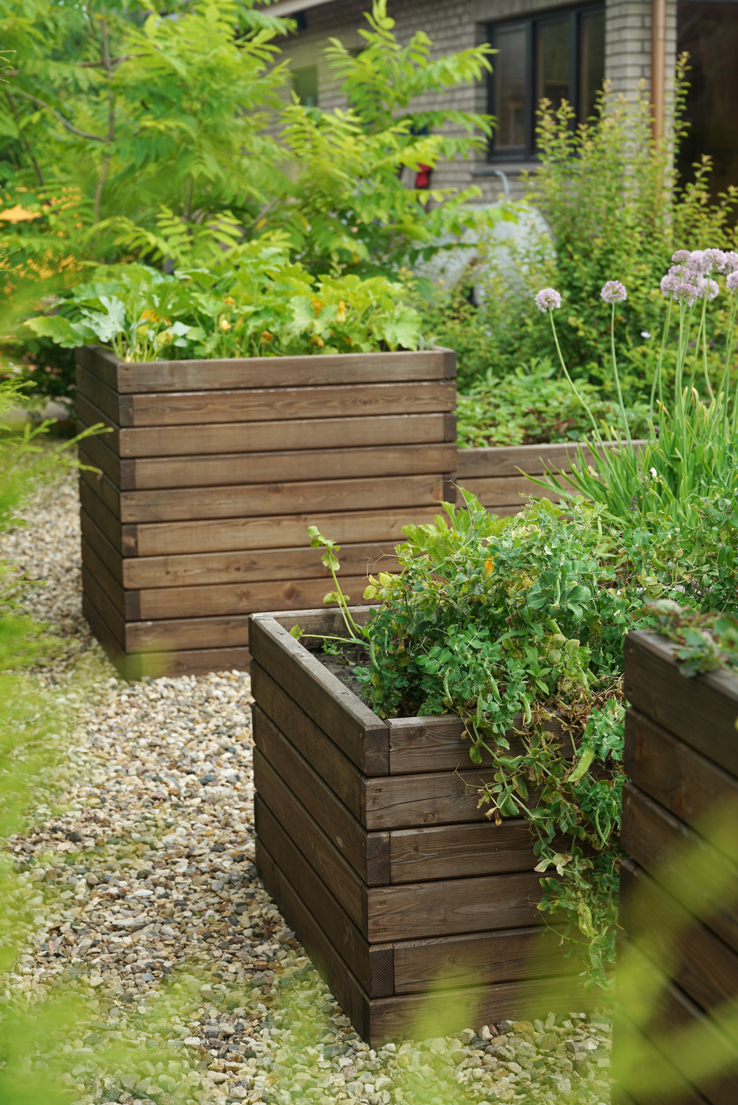 Проект недели: Пейзажный сад от телеведущей