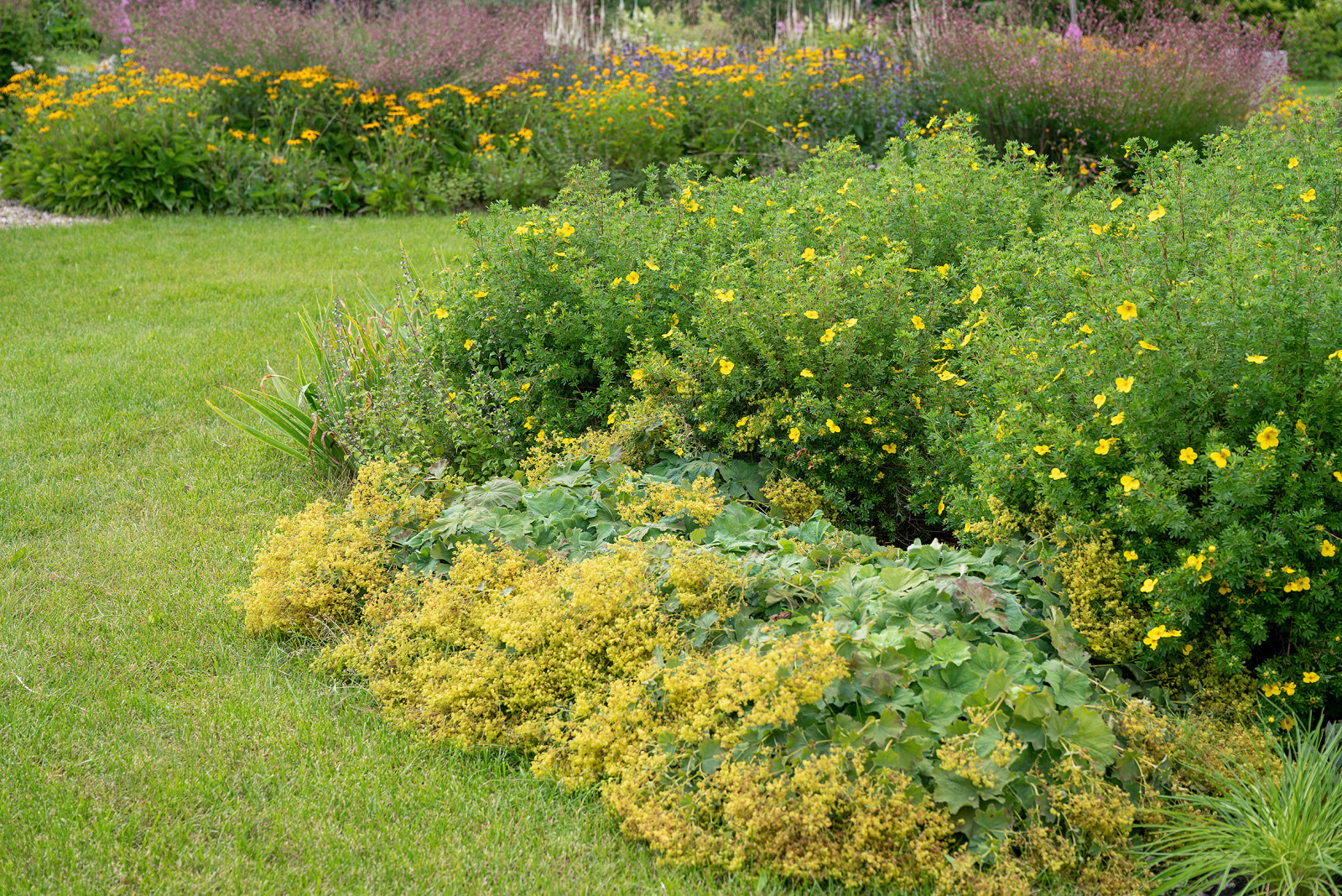 Проект Сада  в "Бельгийской деревне "