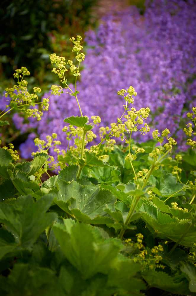 Оксана Дунаева
