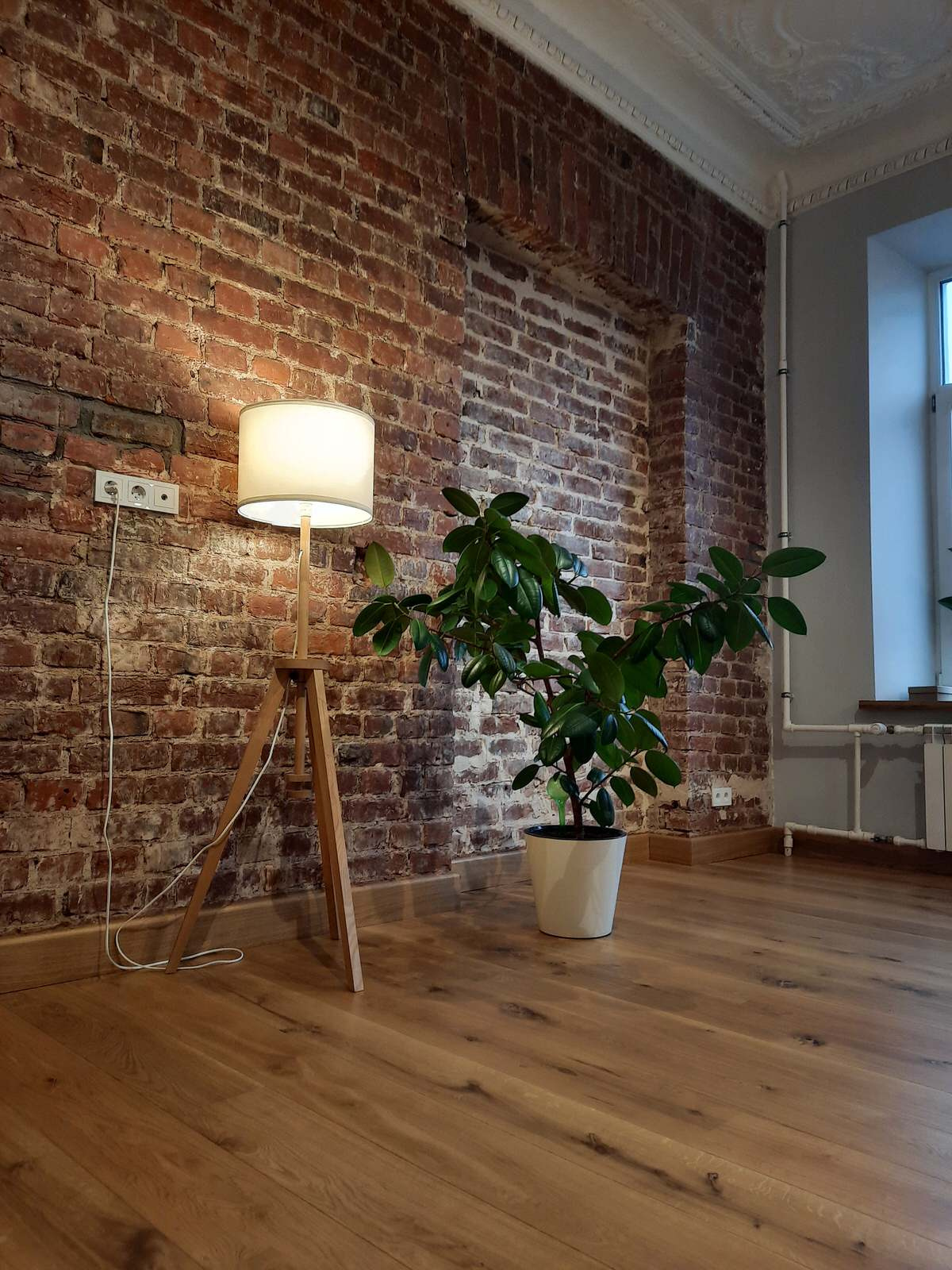 Улица Некрасова д. 1/38