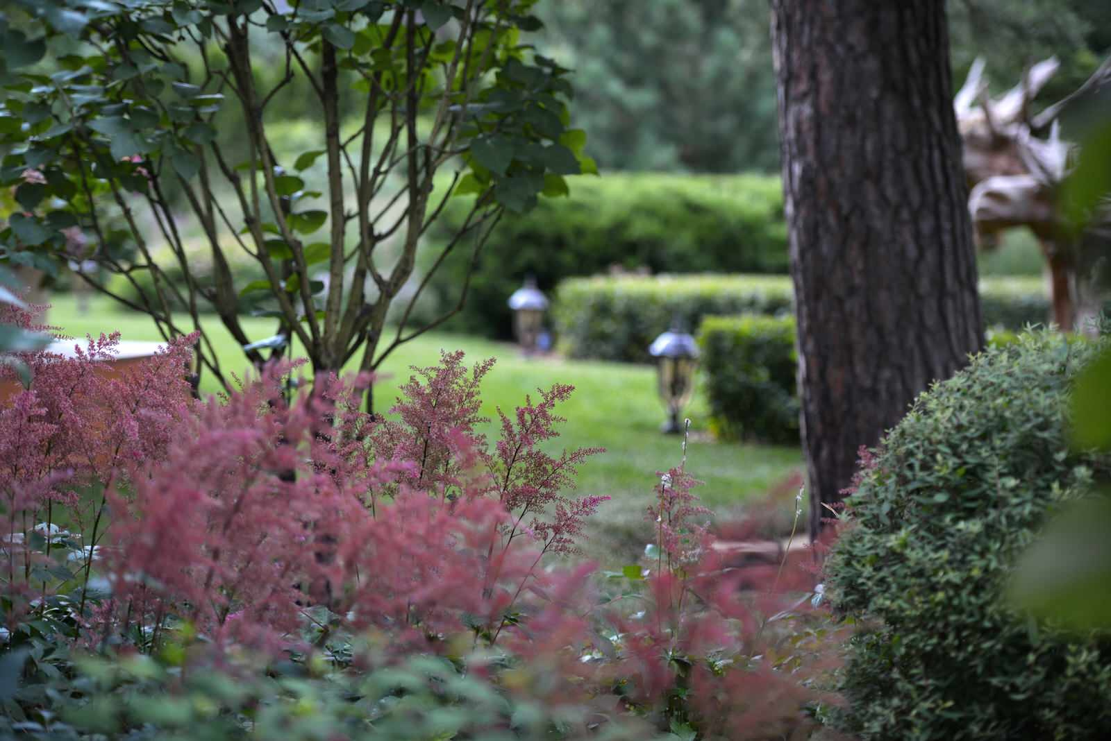 Fairy Garden.Сад под дубами