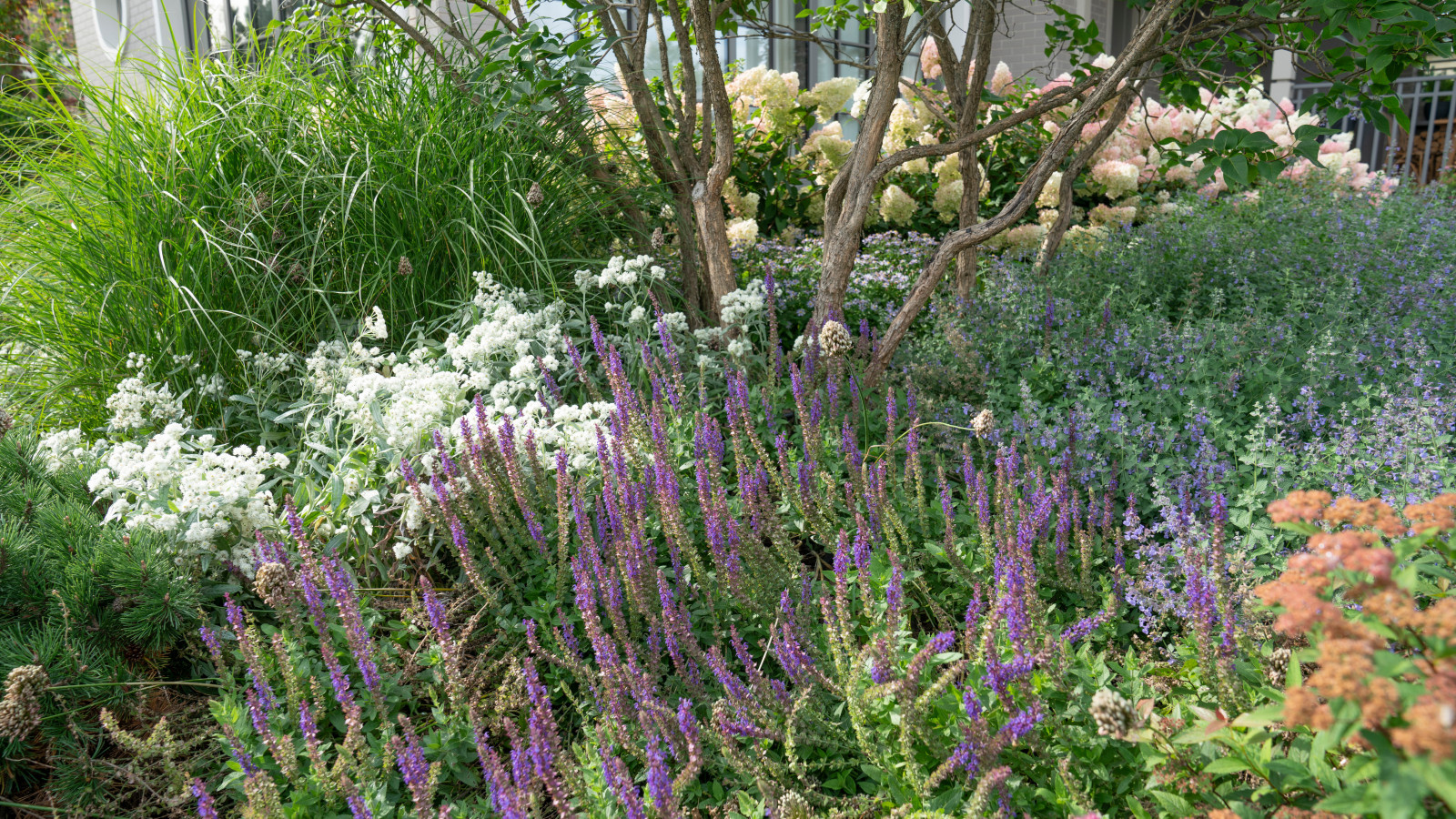 Игра контрастов. Миллениум Парк 2018 г.