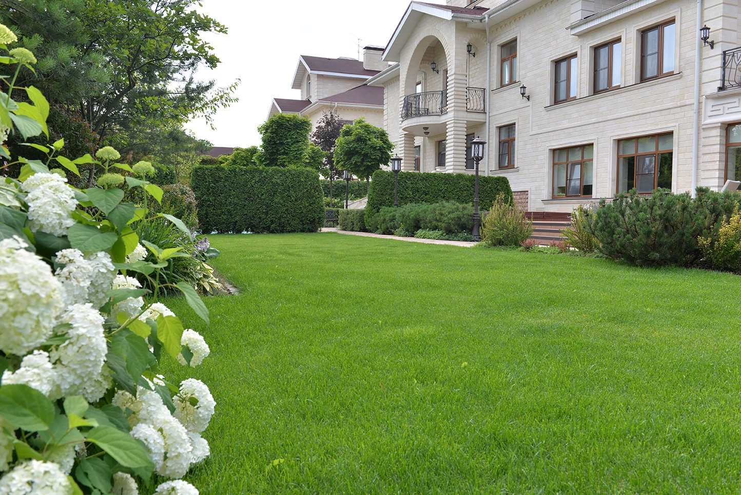 Сроки и смета проекта: 18 соток сада за шесть месяцев с нуля