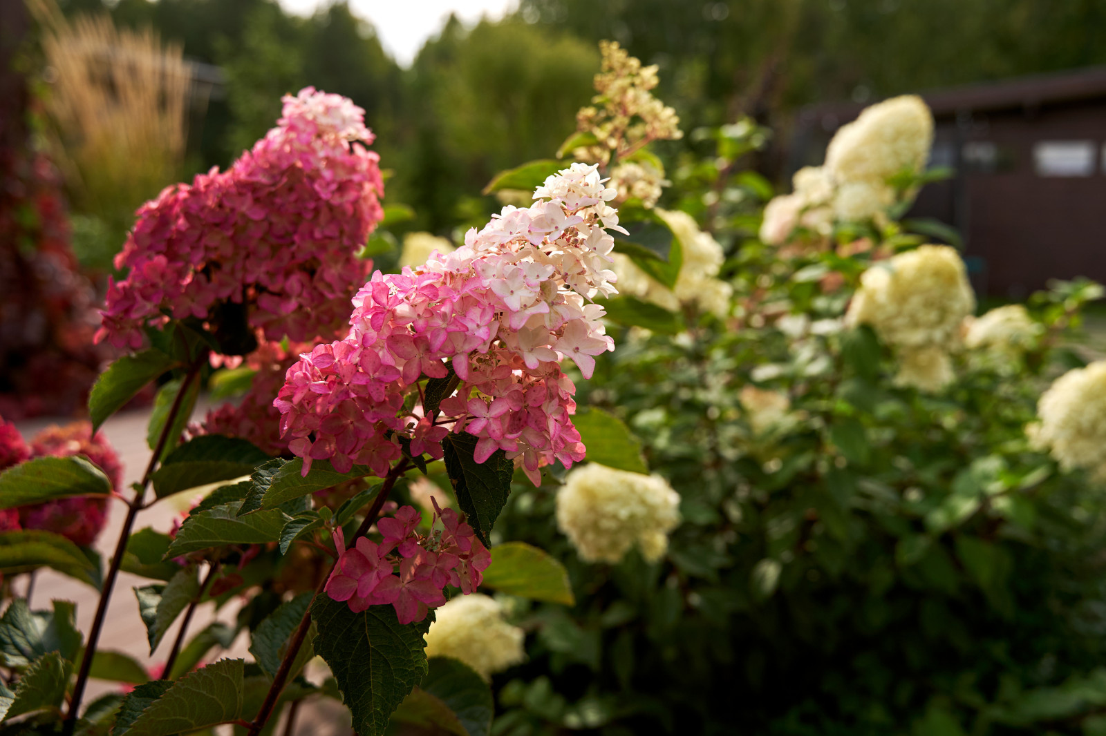Участок с видом на гольф-поле