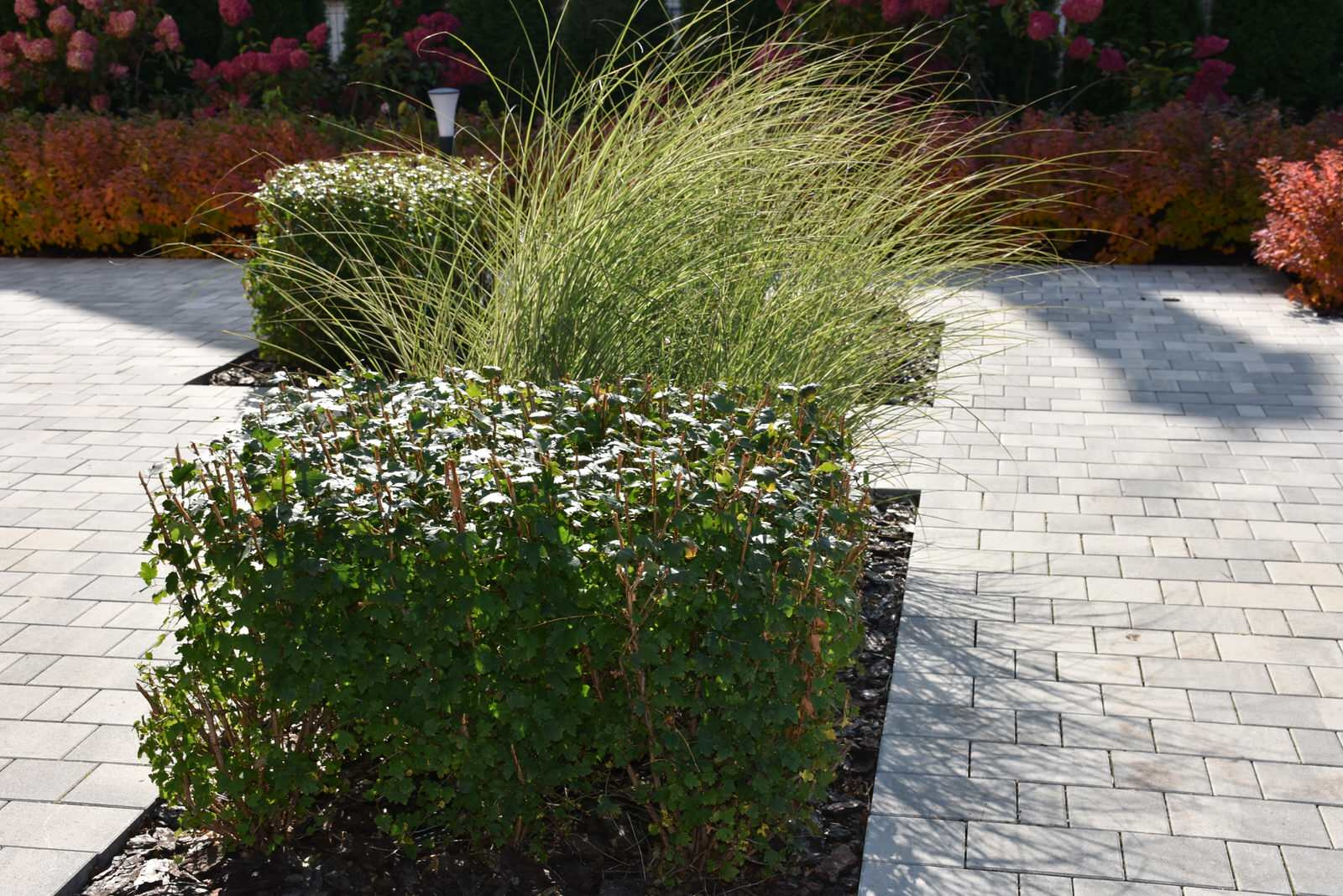 Игра в геометрию