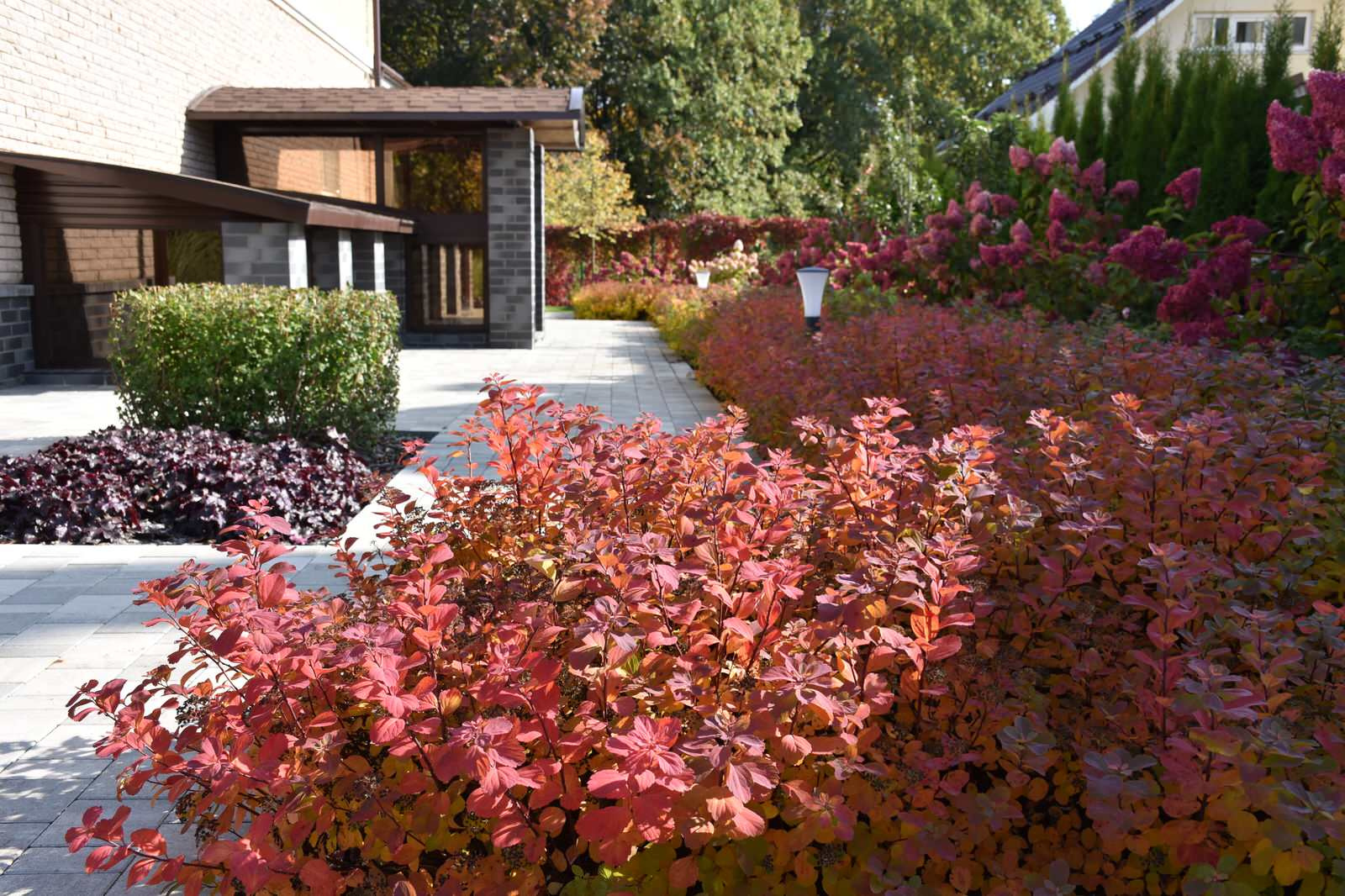 Игра в геометрию