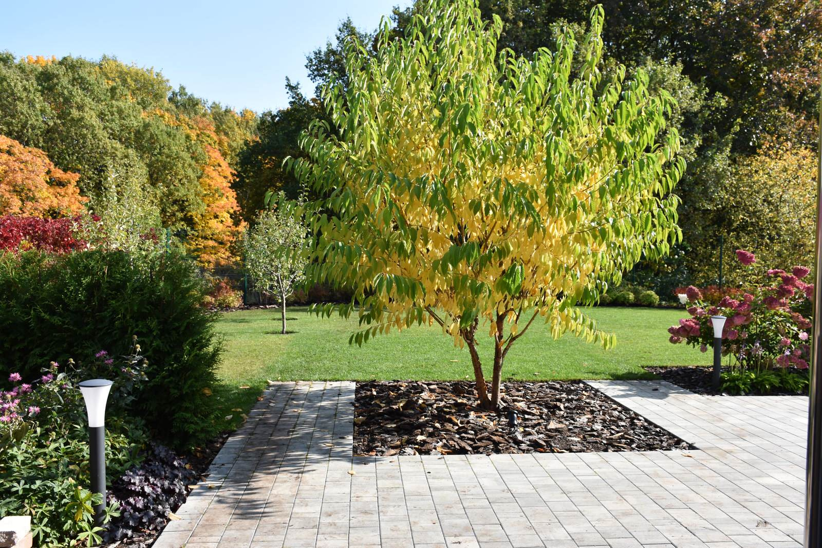 Игра в геометрию