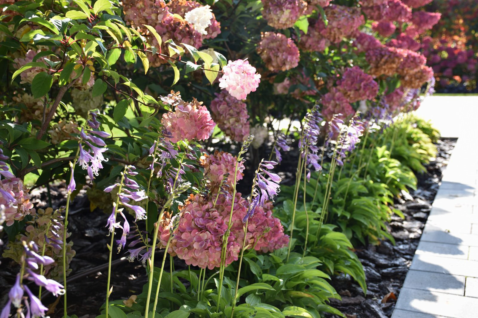 Игра в геометрию