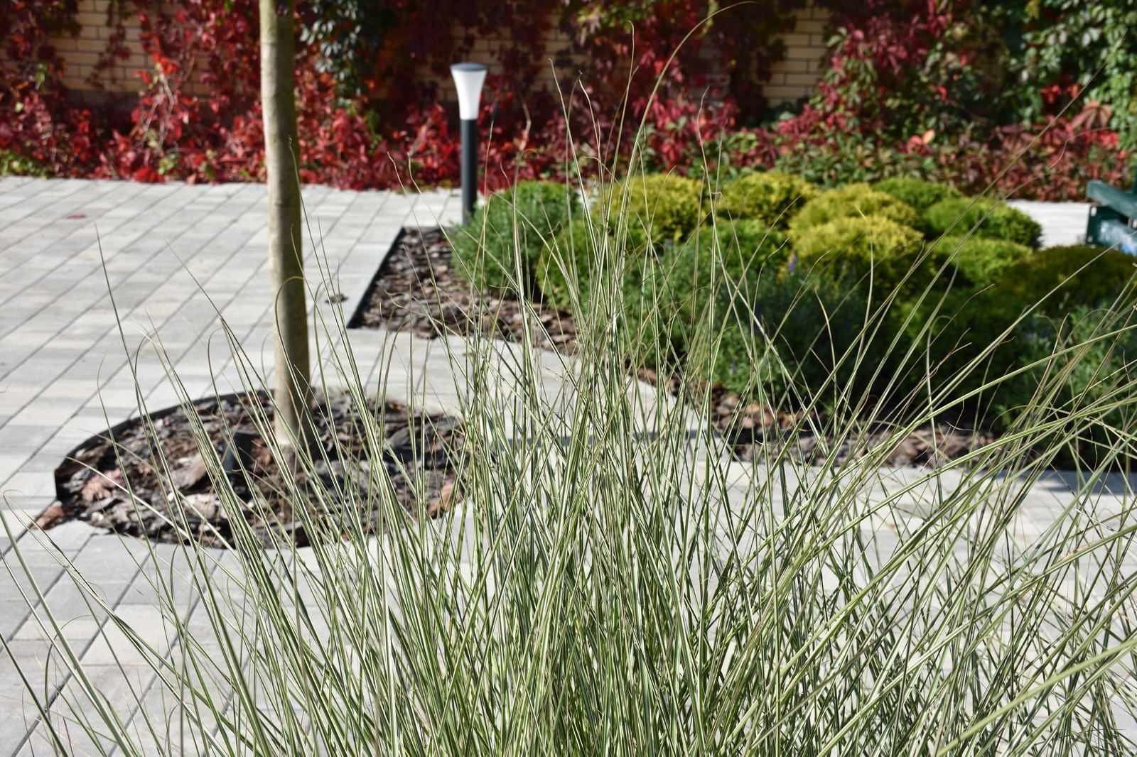 Игра в геометрию