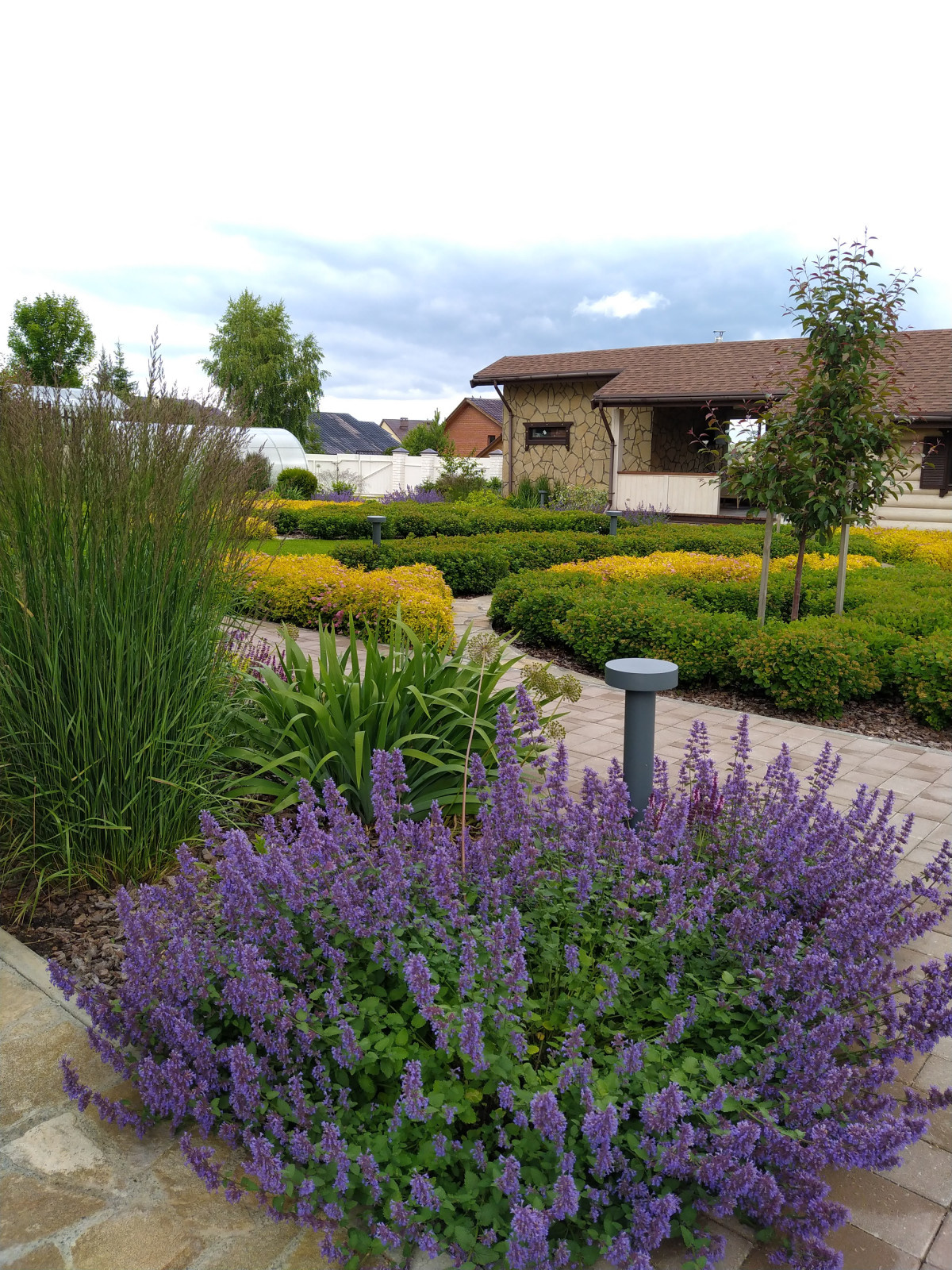 Токарево15 соток,