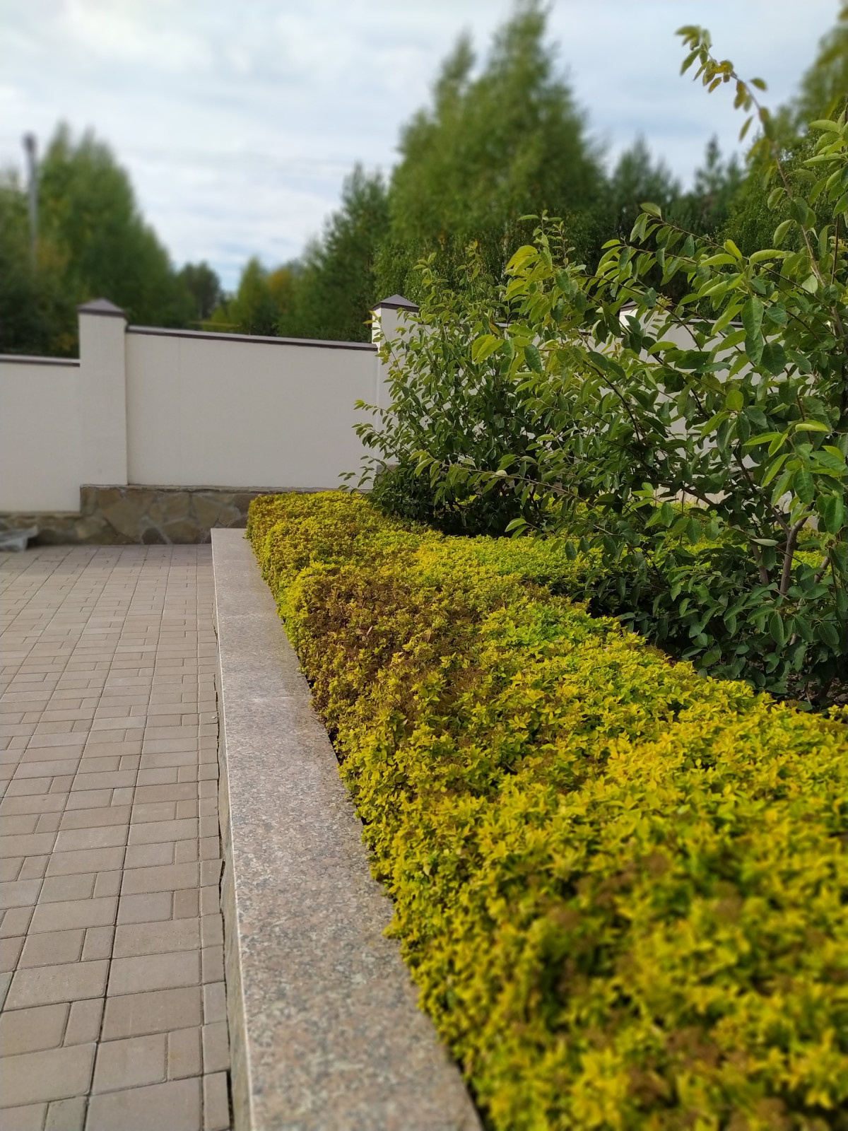 Токарево15 соток,