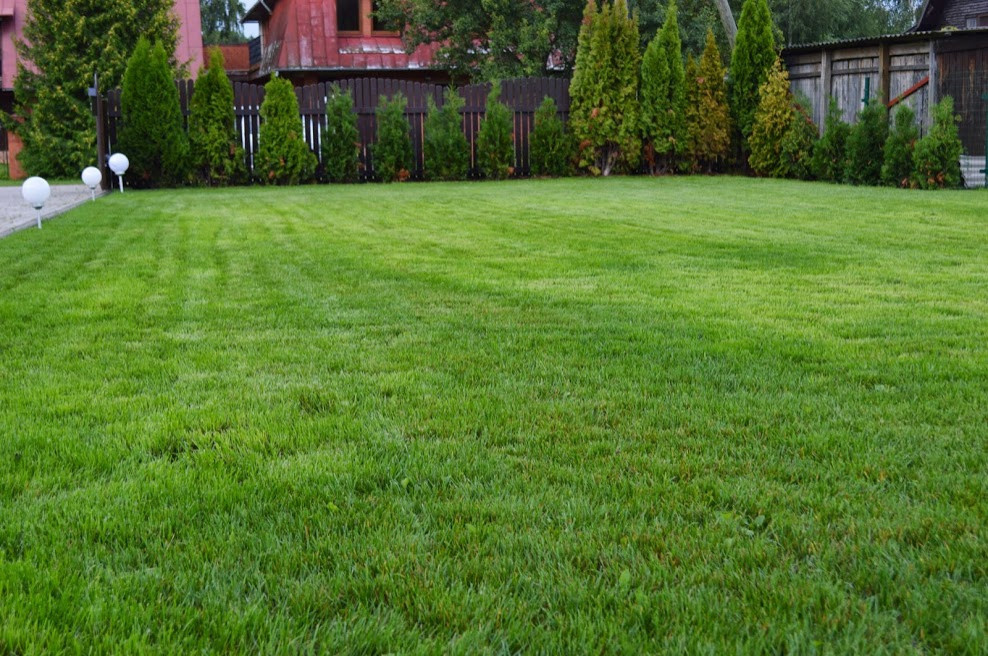 Property Manager Jurmala