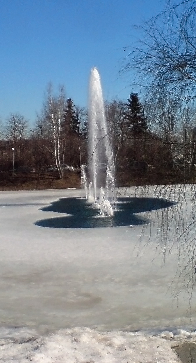 Обложка проекта: ВР 4