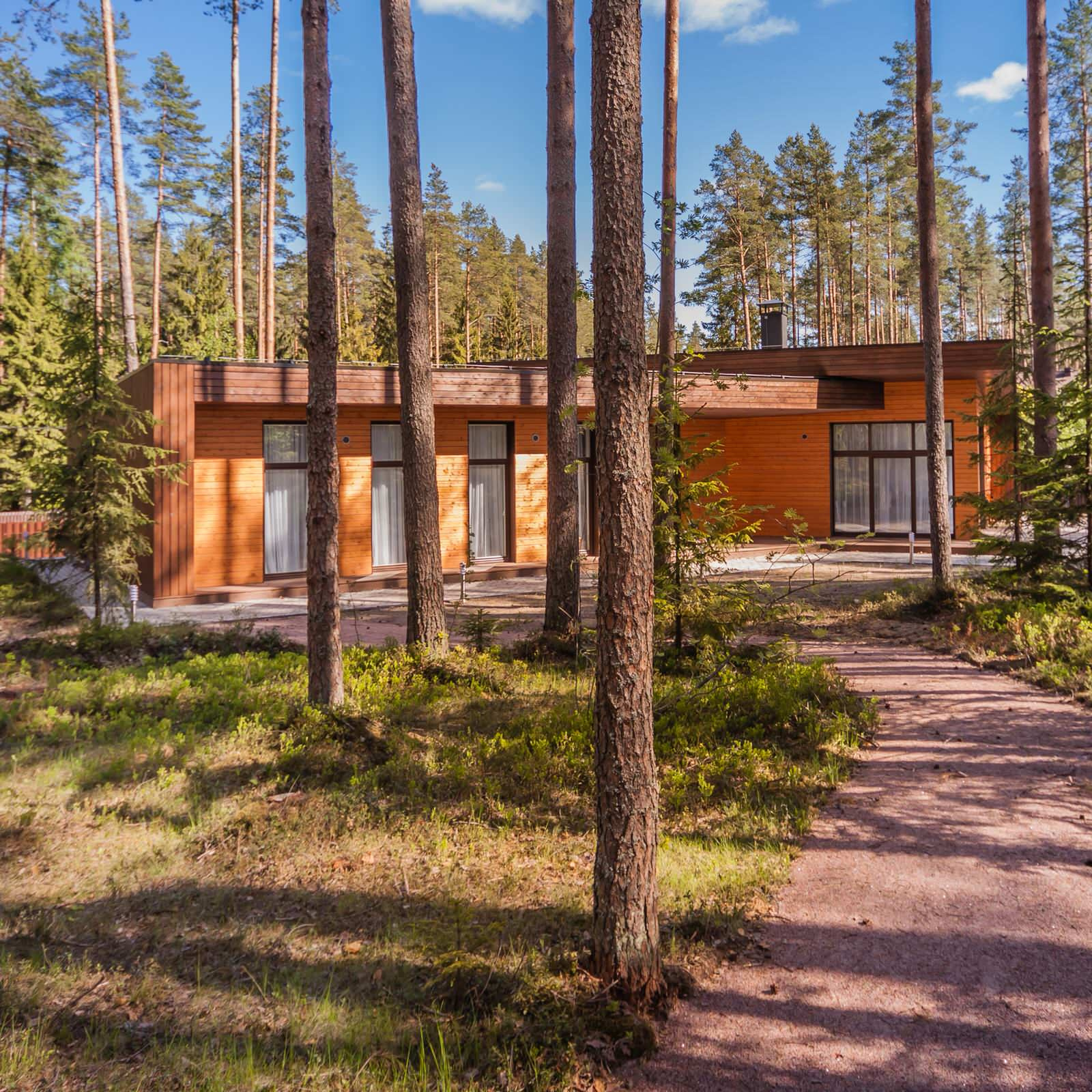 Одноэтажный дом в Репино