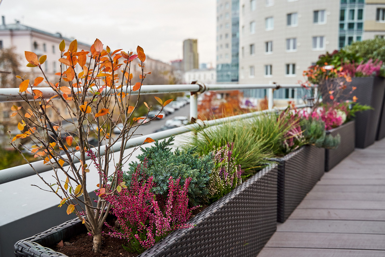 Обложка альбома: Идеи пользователя webuser_532801338