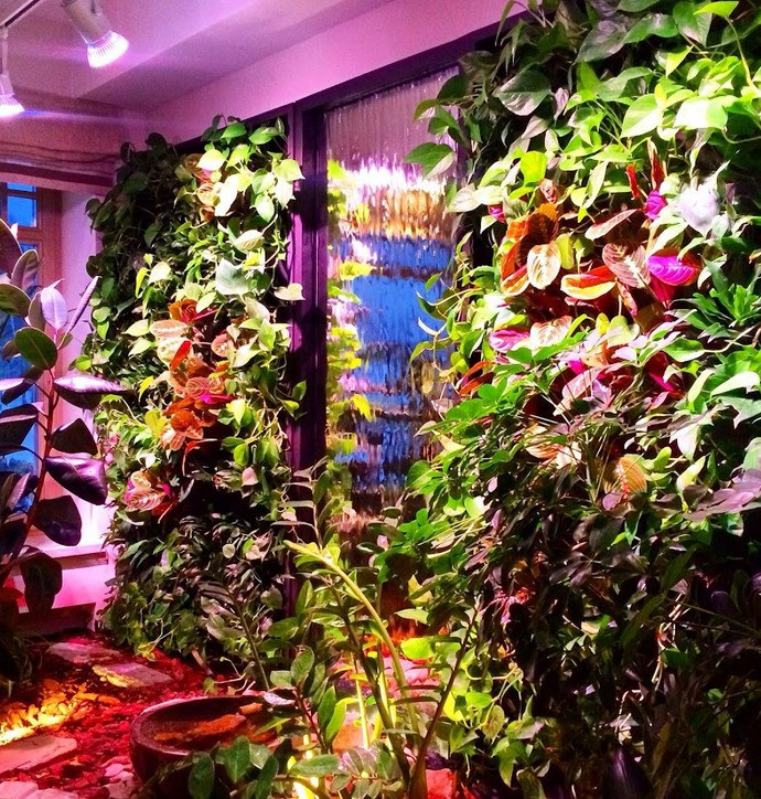 Андрей Chernikov