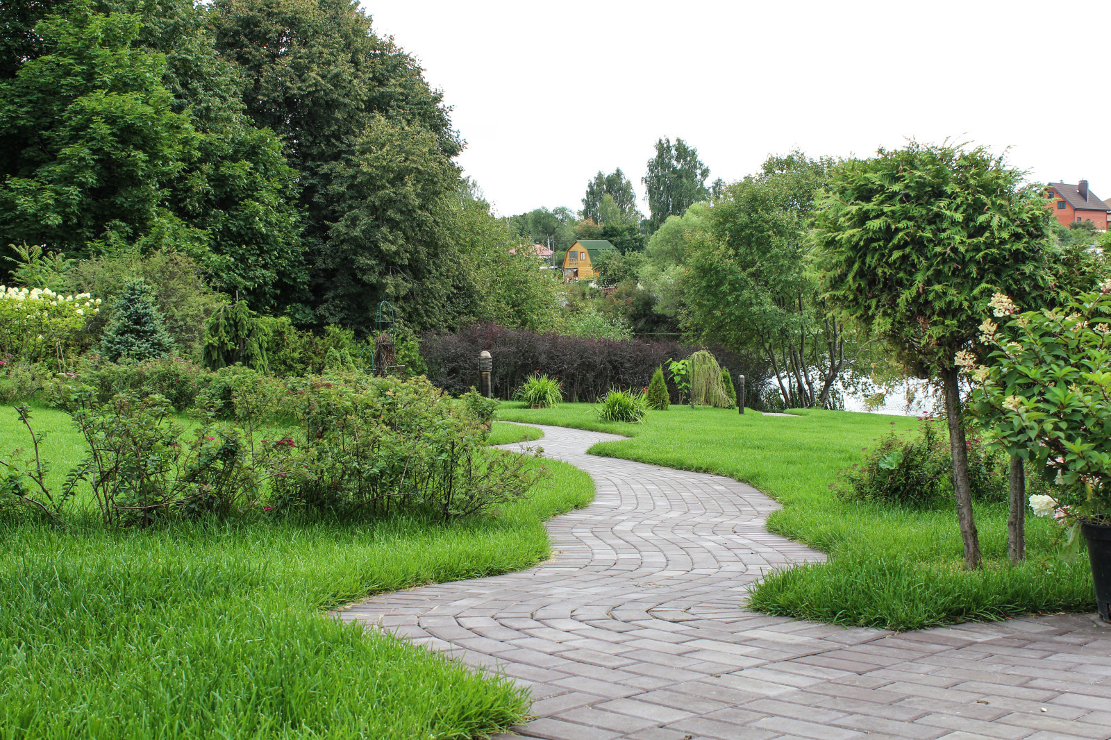 Живая картина