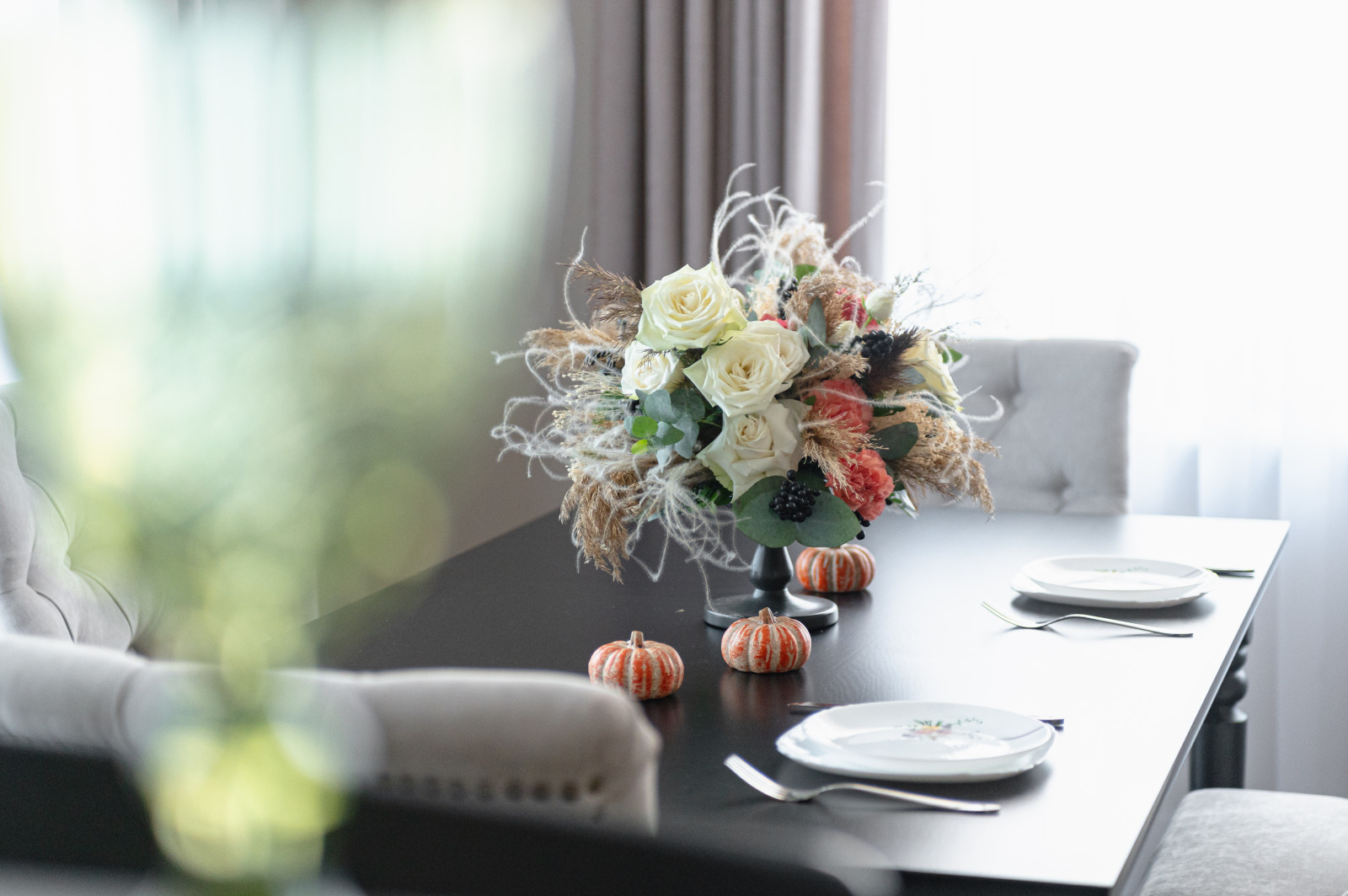 Гнездо колибри