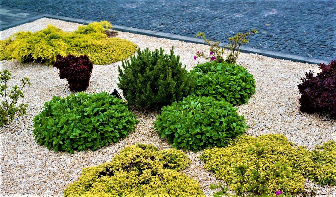 Обложка проекта: Веселое