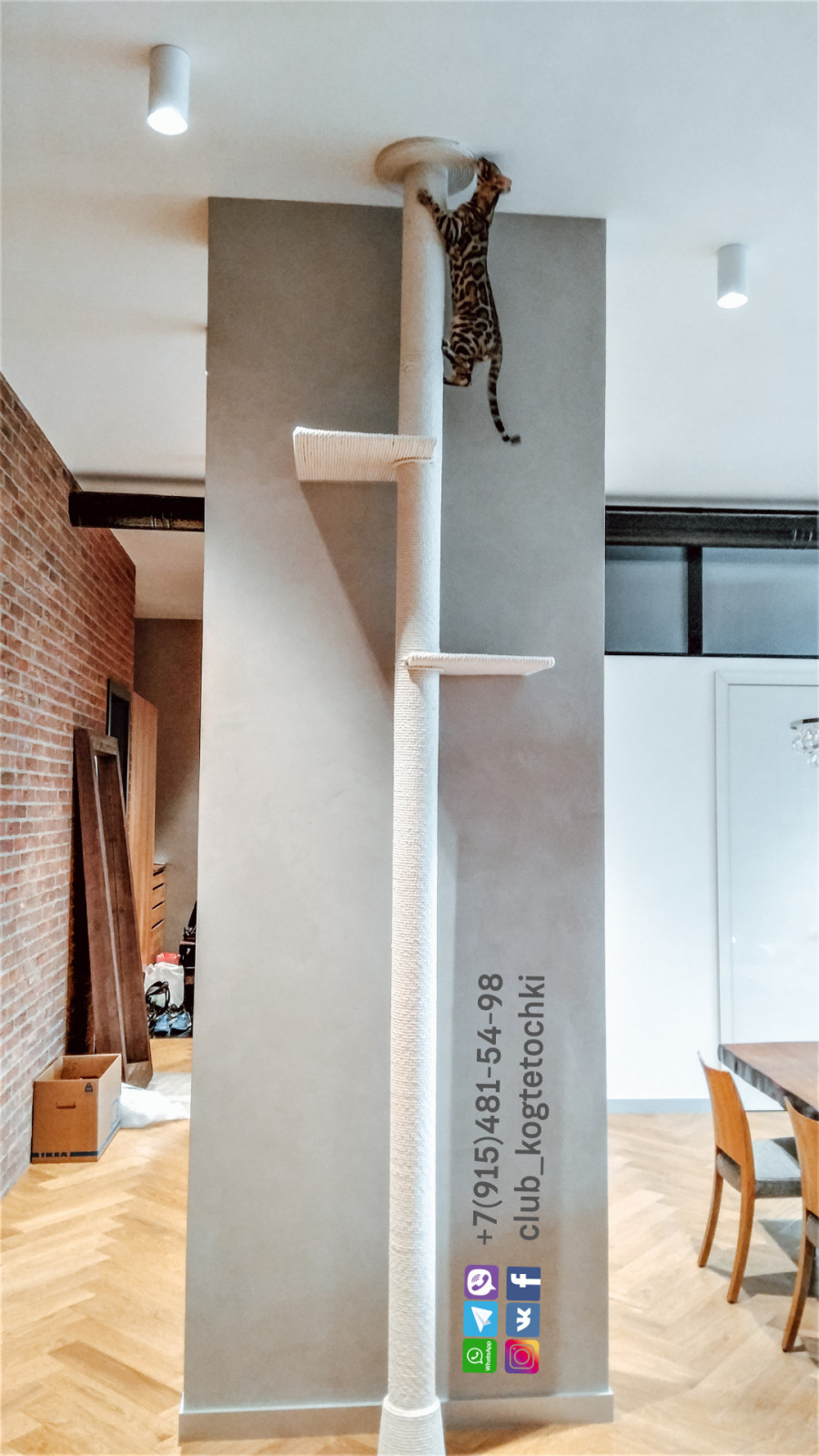 Виктория Шапкова