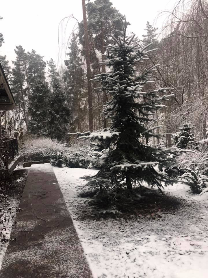 Дачи Хонка