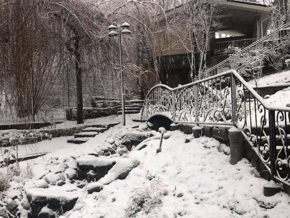 Дачи Хонка