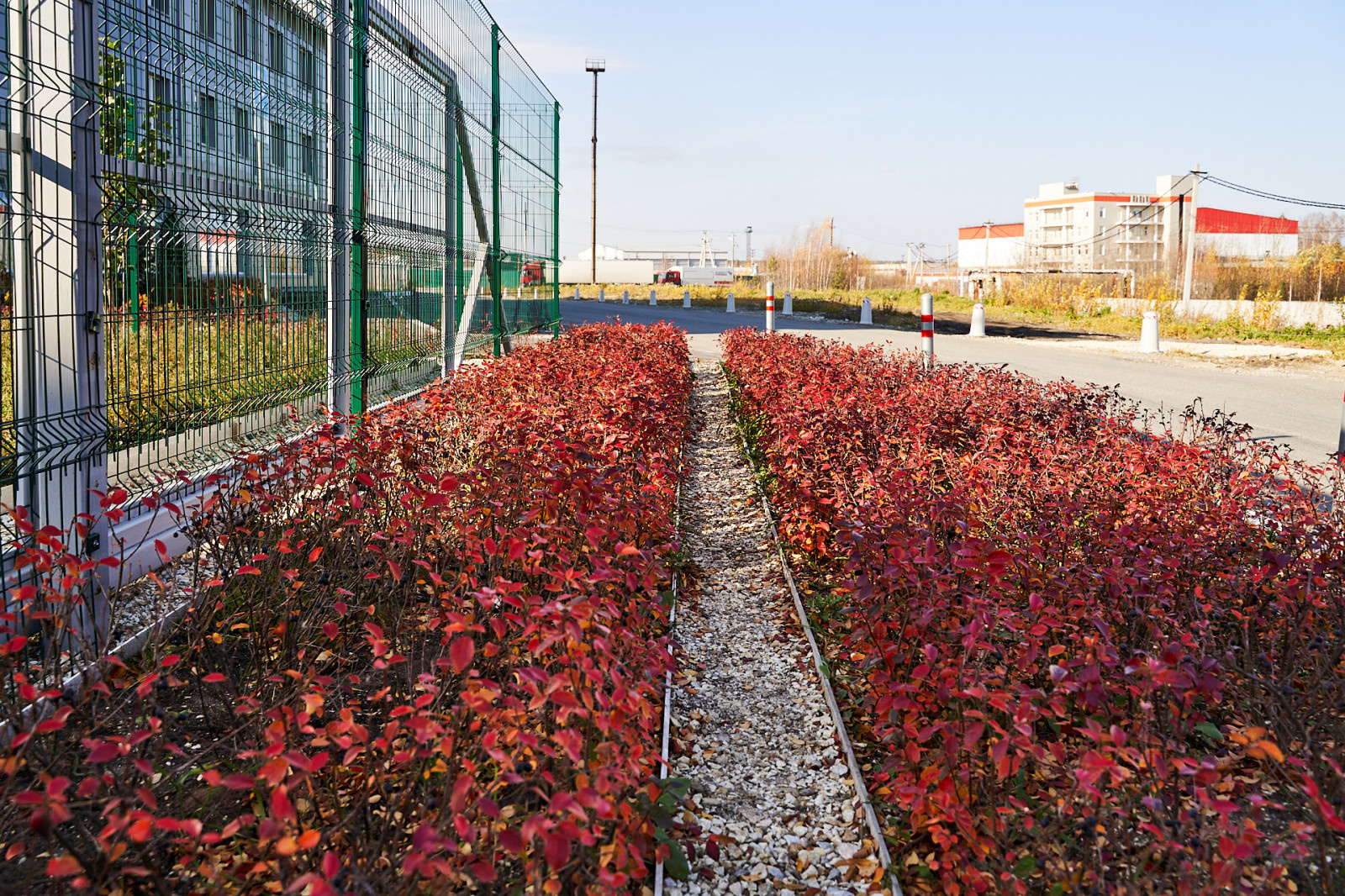 Обложка проекта: Озеленение промышленной территории