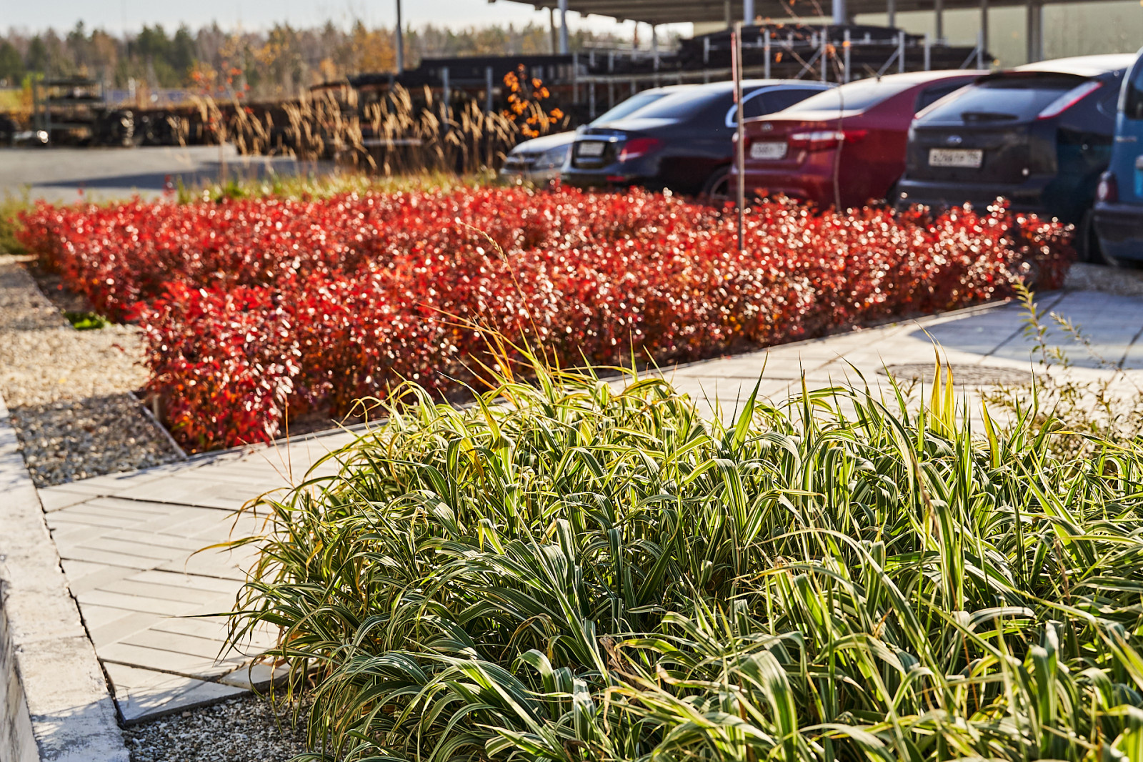 Озеленение промышленной территории