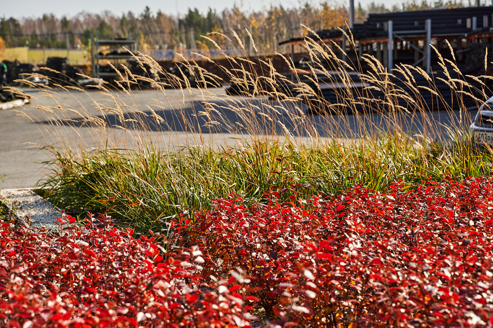 Озеленение промышленной территории