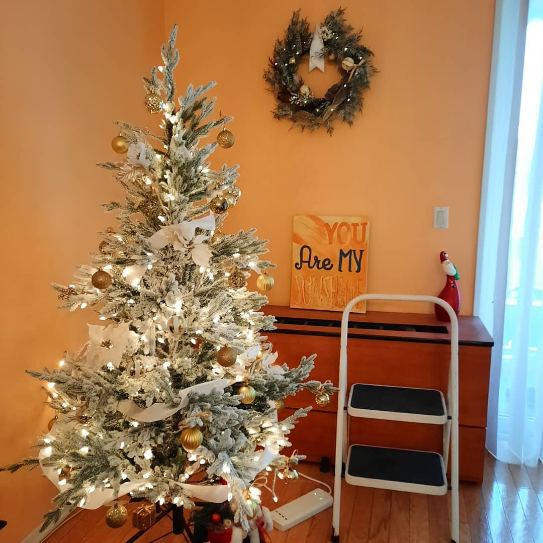 Christmas surprise for Customer's wife, Brooklyn, NYC