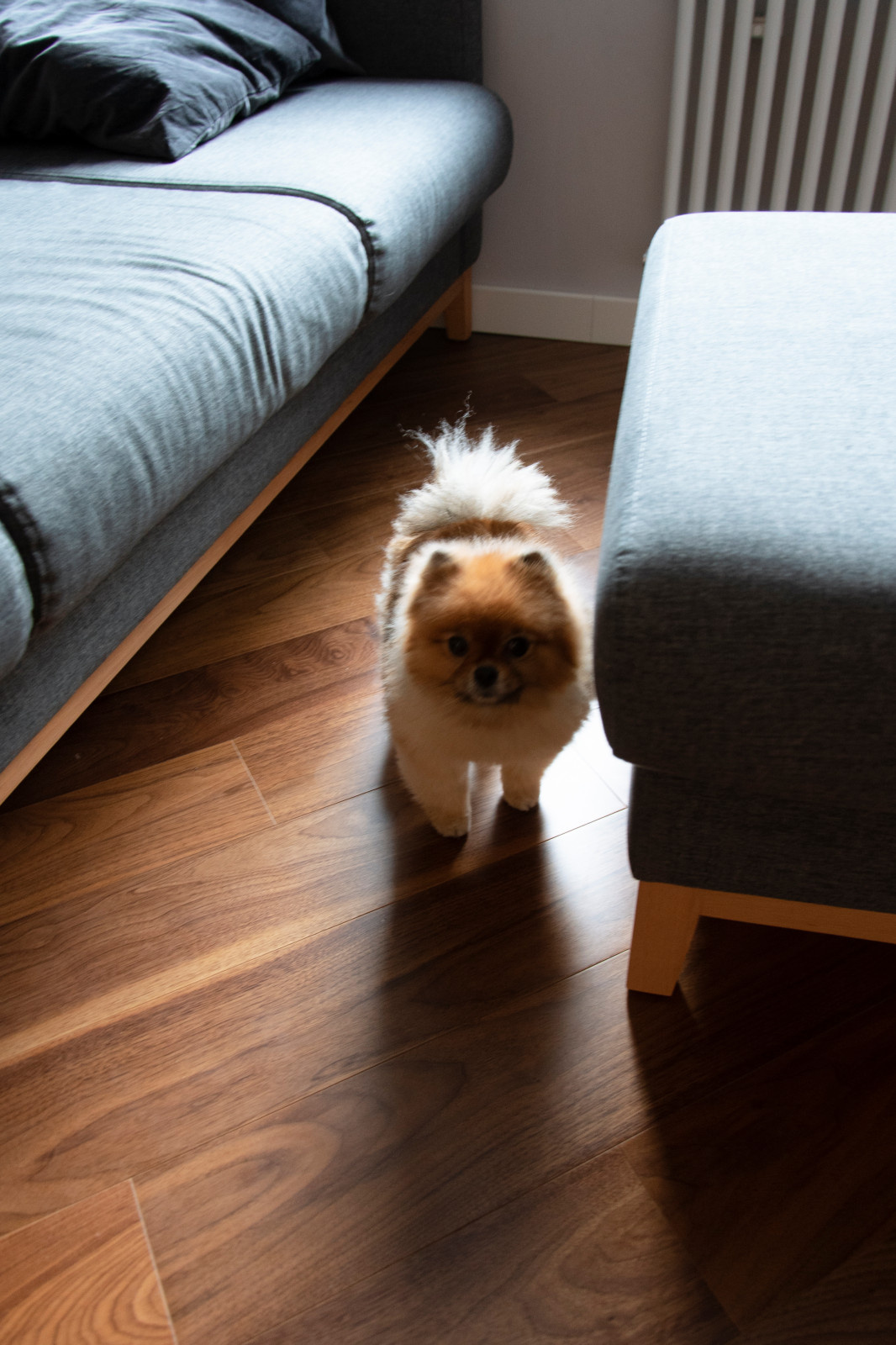 Приморский 62