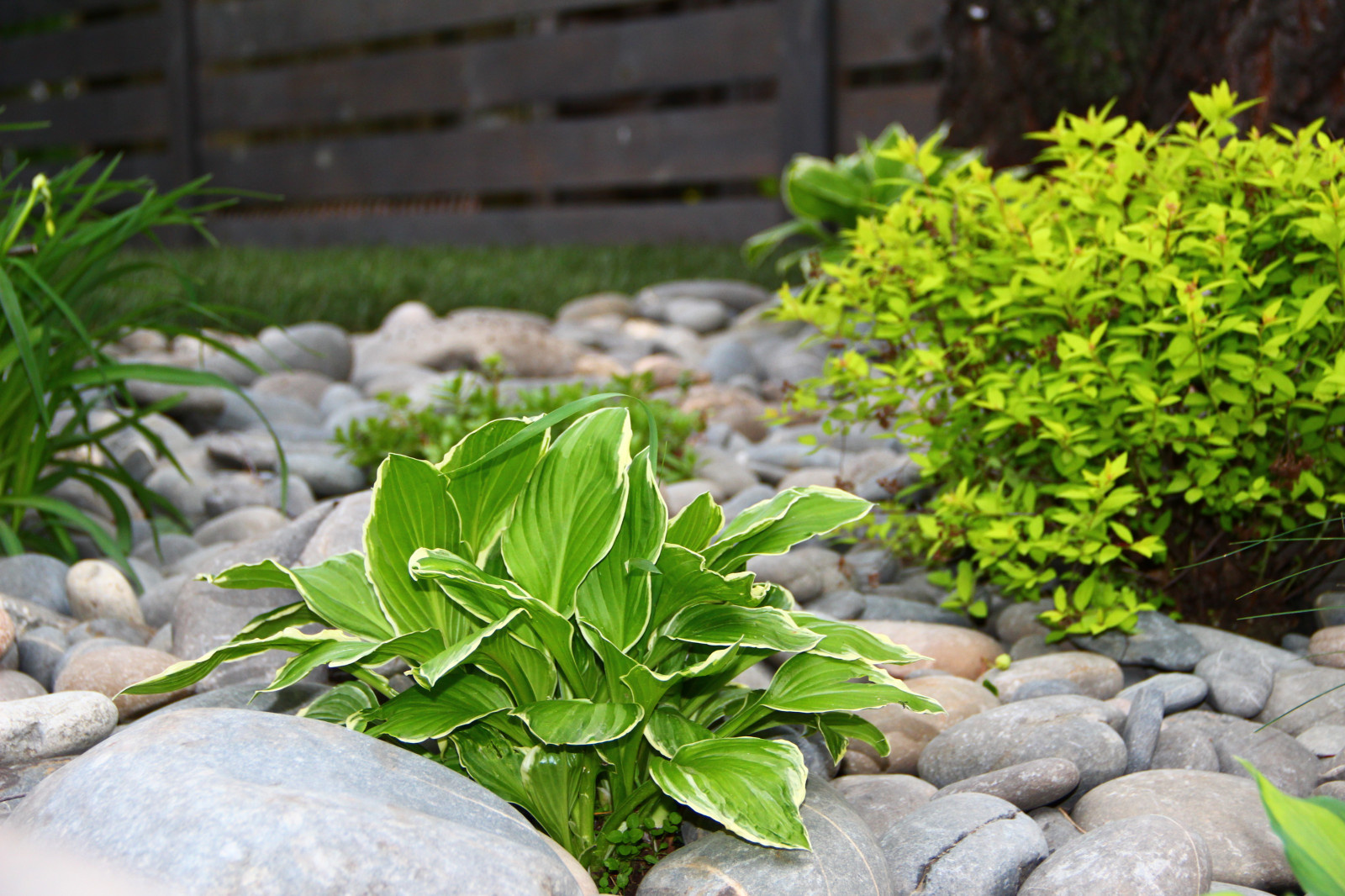 Создание уютного сада в Челябинске от Ландшафт74