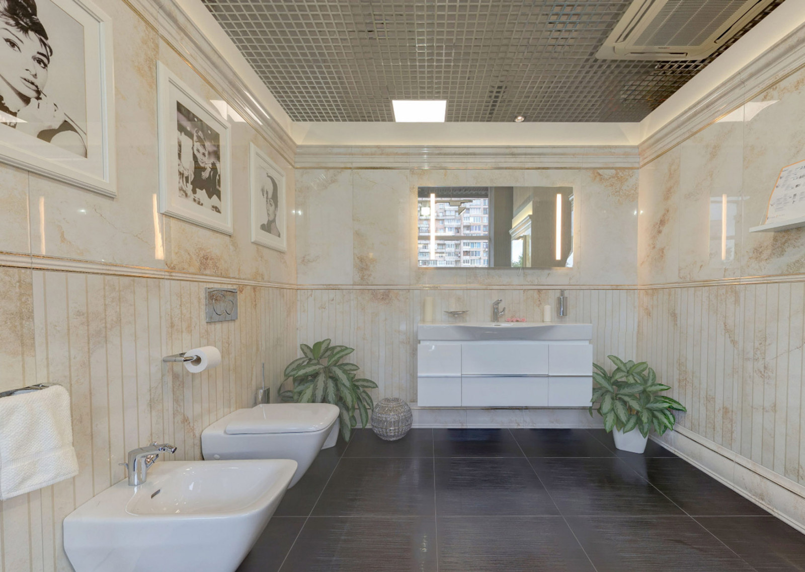 Проект Caracalla