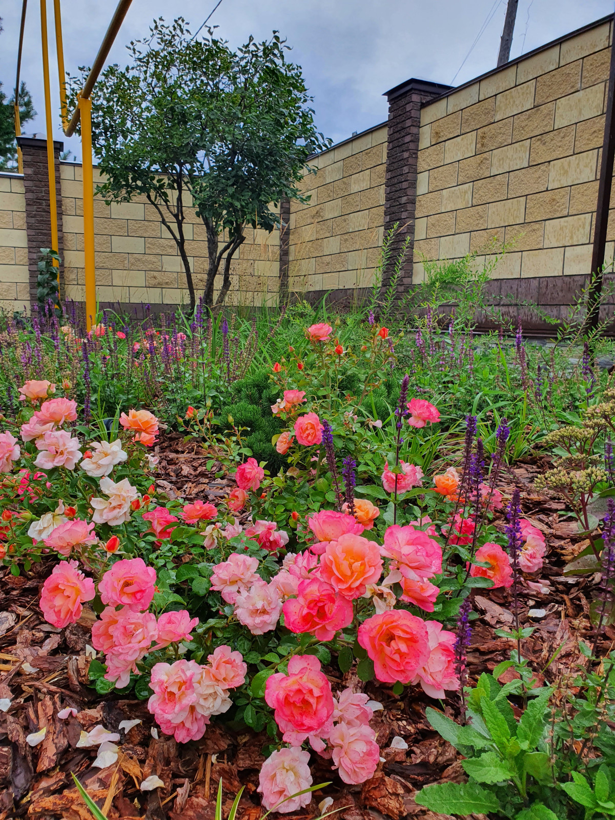 Частный сад в Самарской области