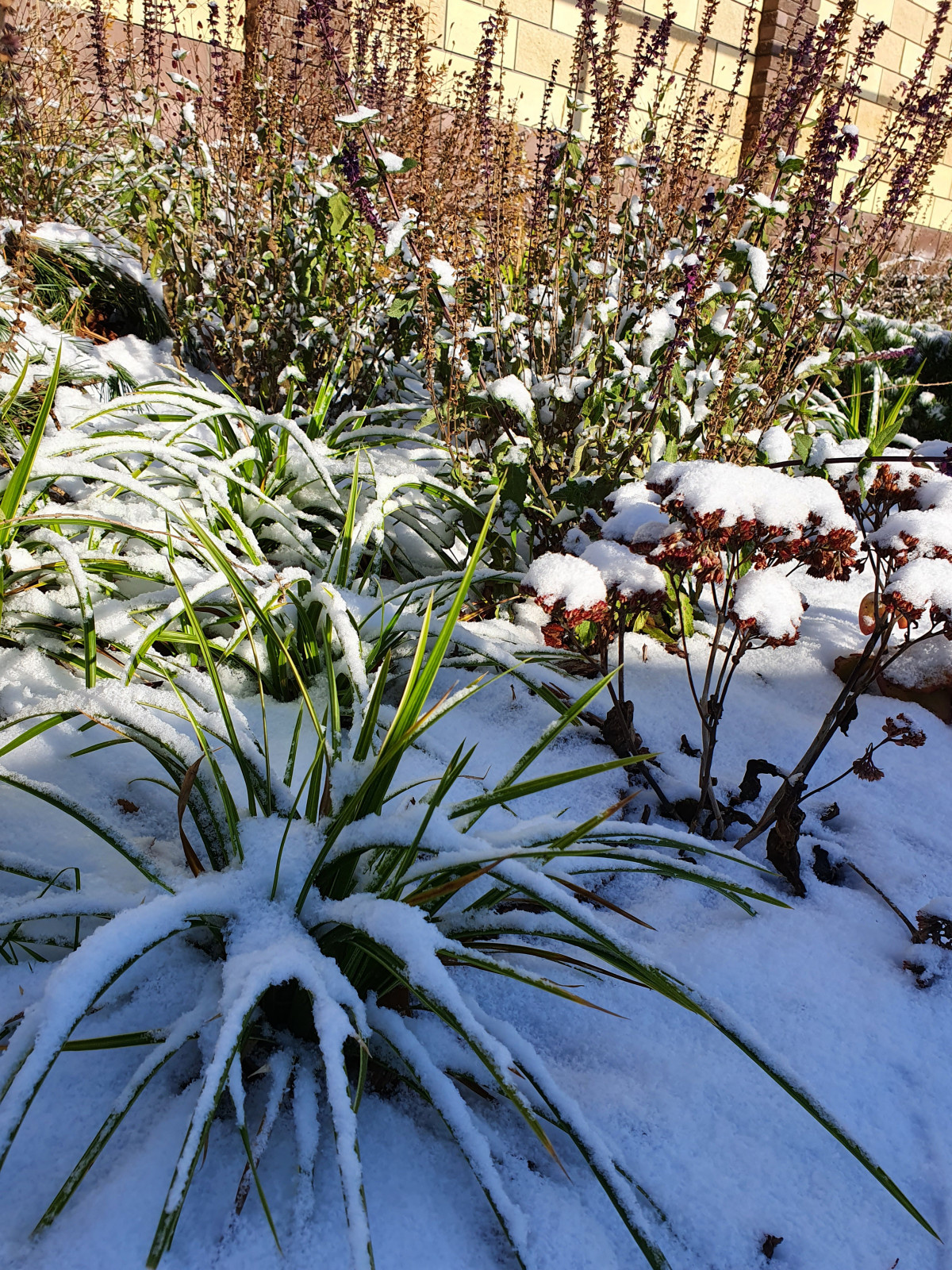 Частный сад в Самарской области