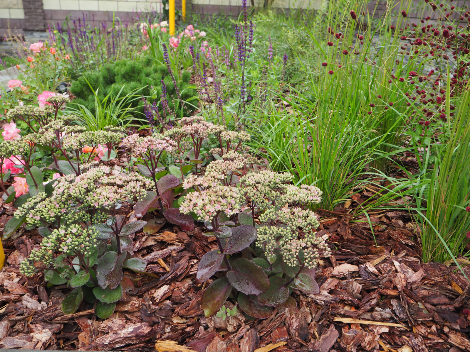 Частный сад в Самарской области