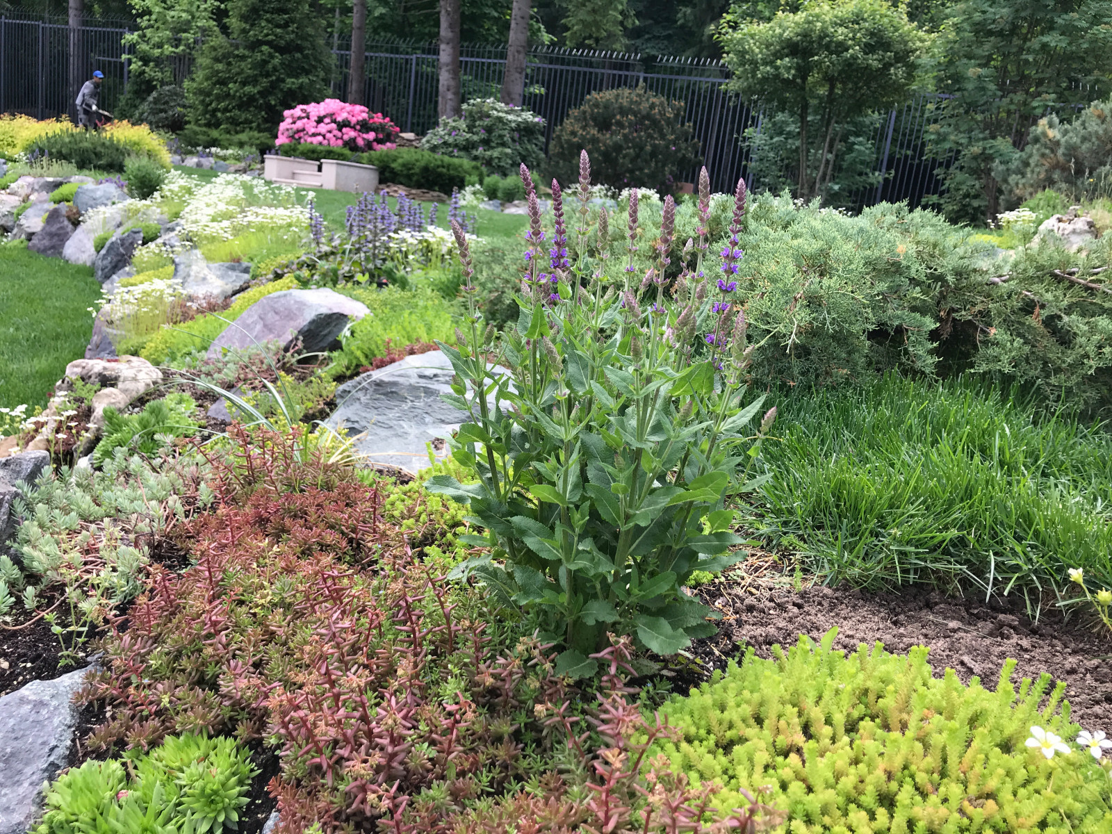 Современный ландшафтный дизайн.