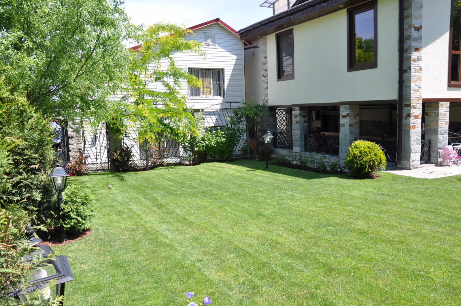 Светлана Дудник