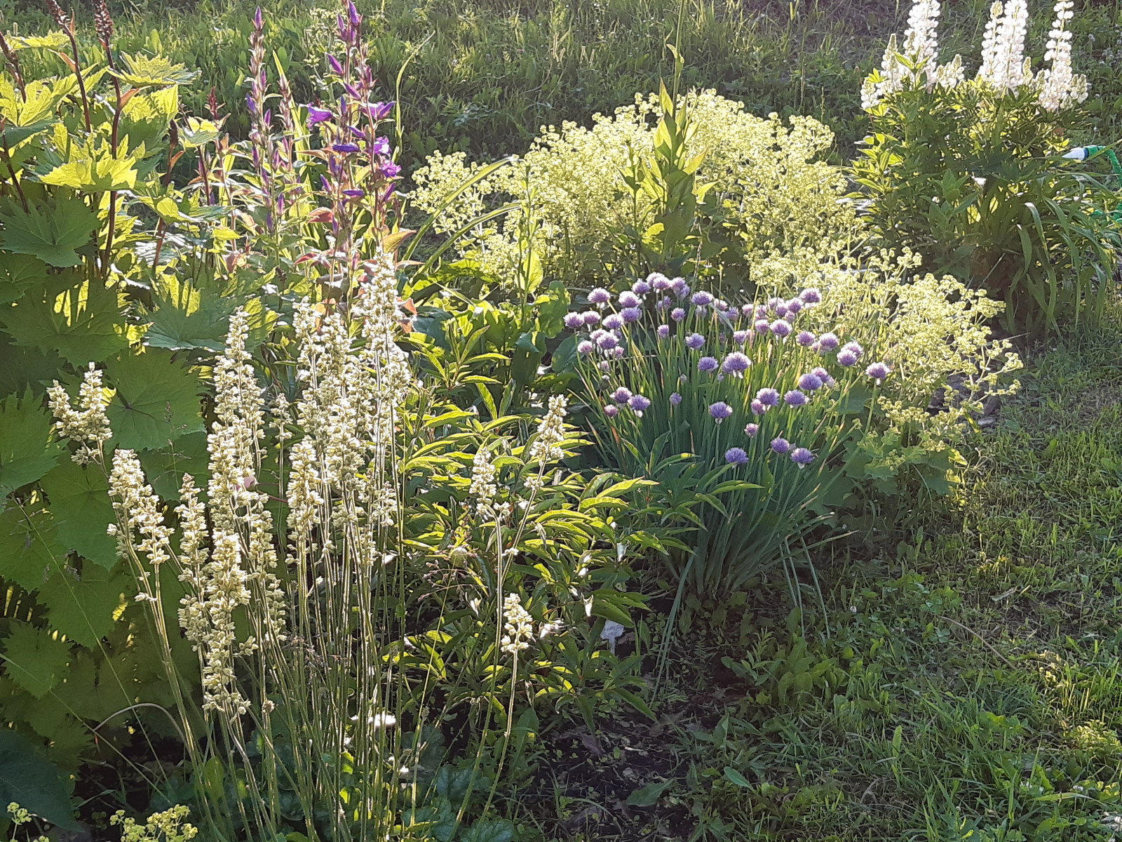 Миксбордер