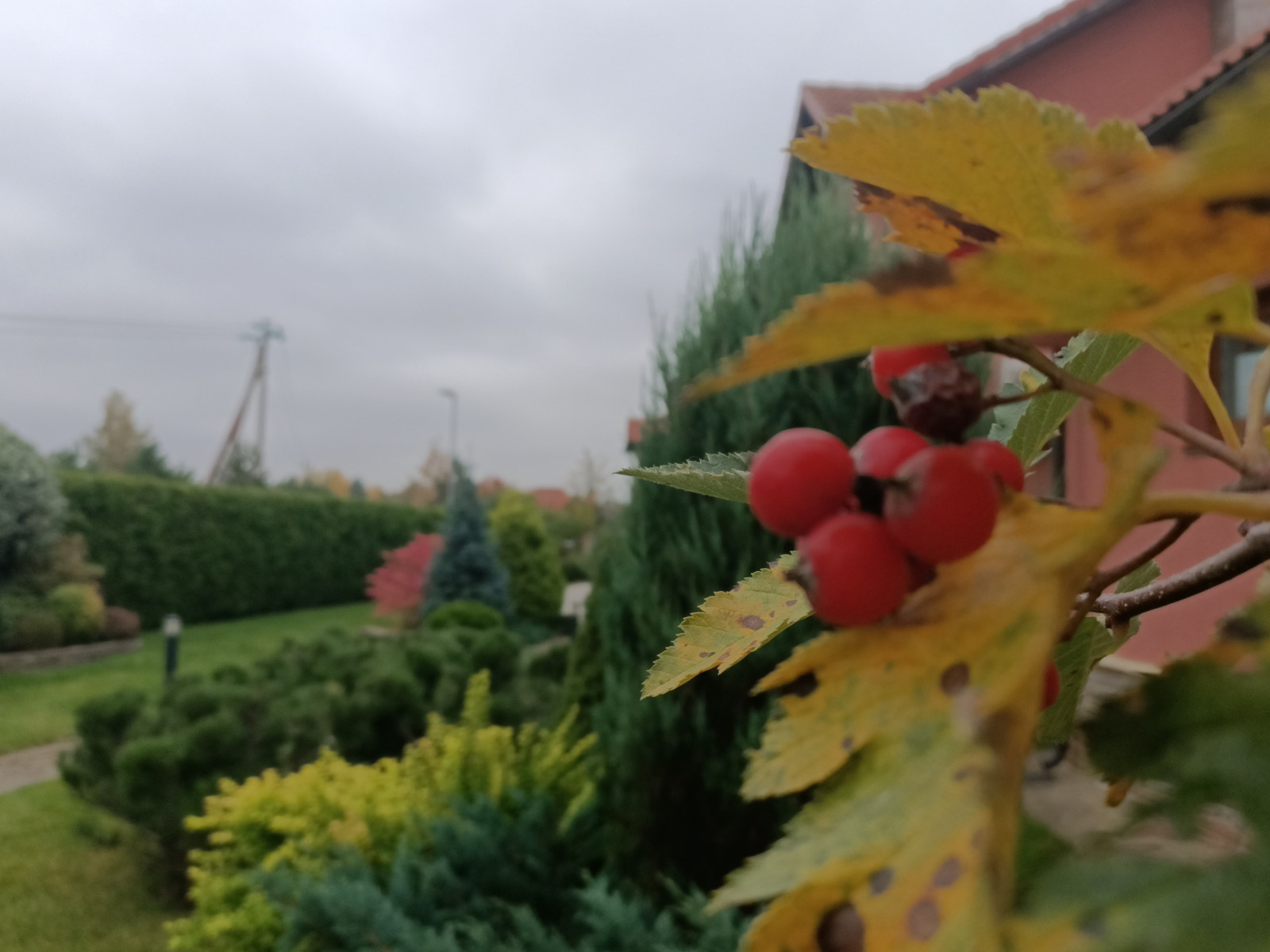 Репиские усадьбы....Южный колорит 2015-2020