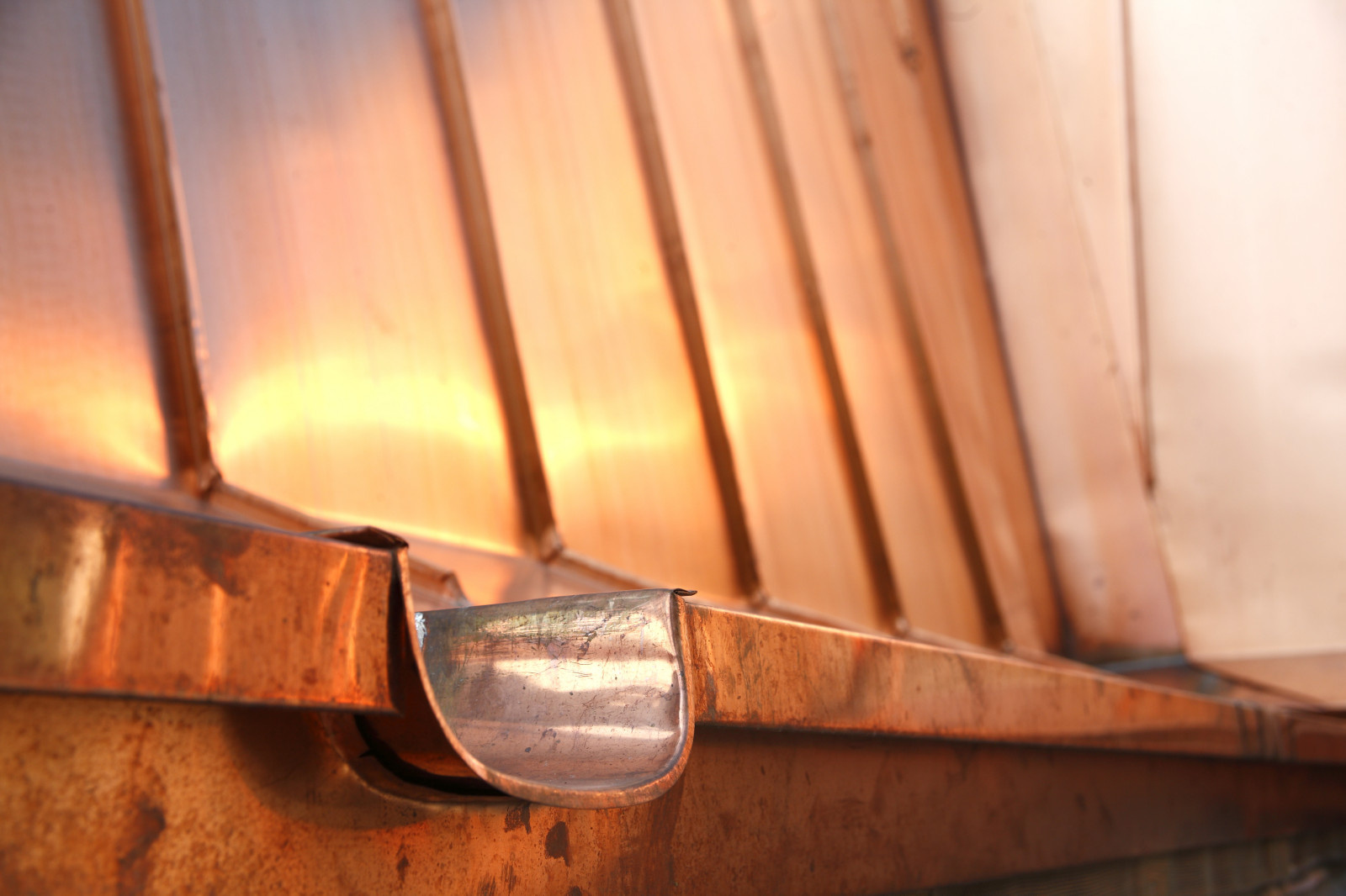 Обложка проекта: Барвиха