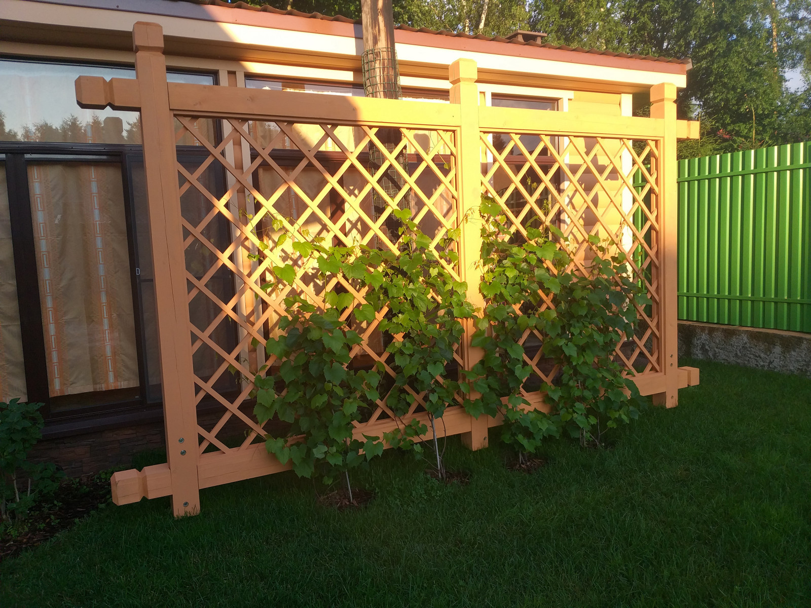 Обложка проекта: Большая Ижора