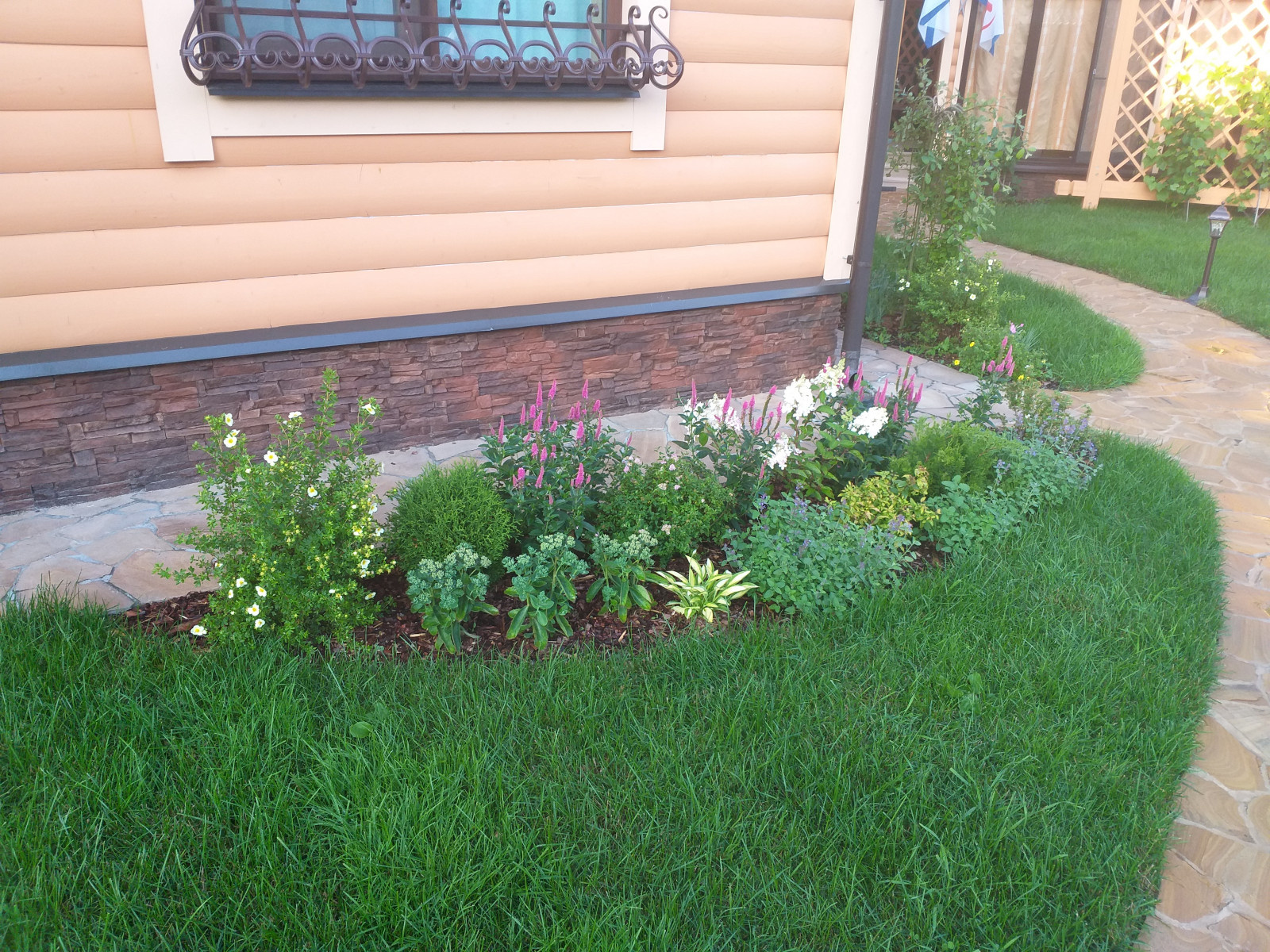 большая ижора