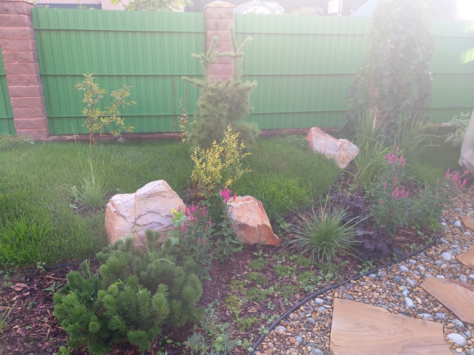 большая ижора