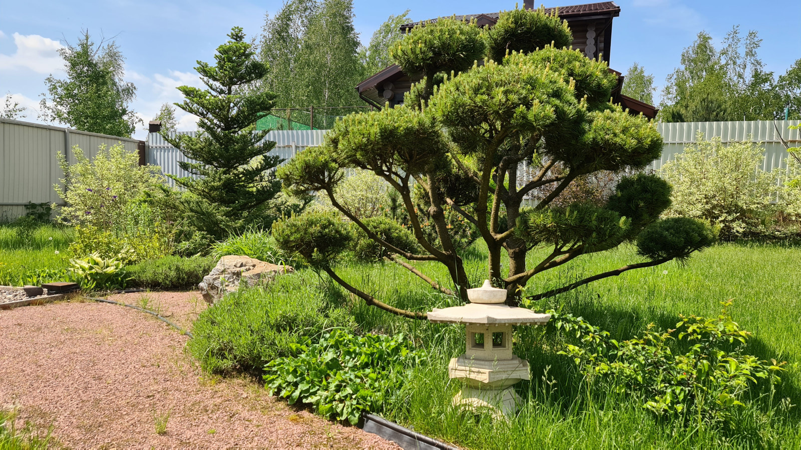 Посадка растений, озеленение