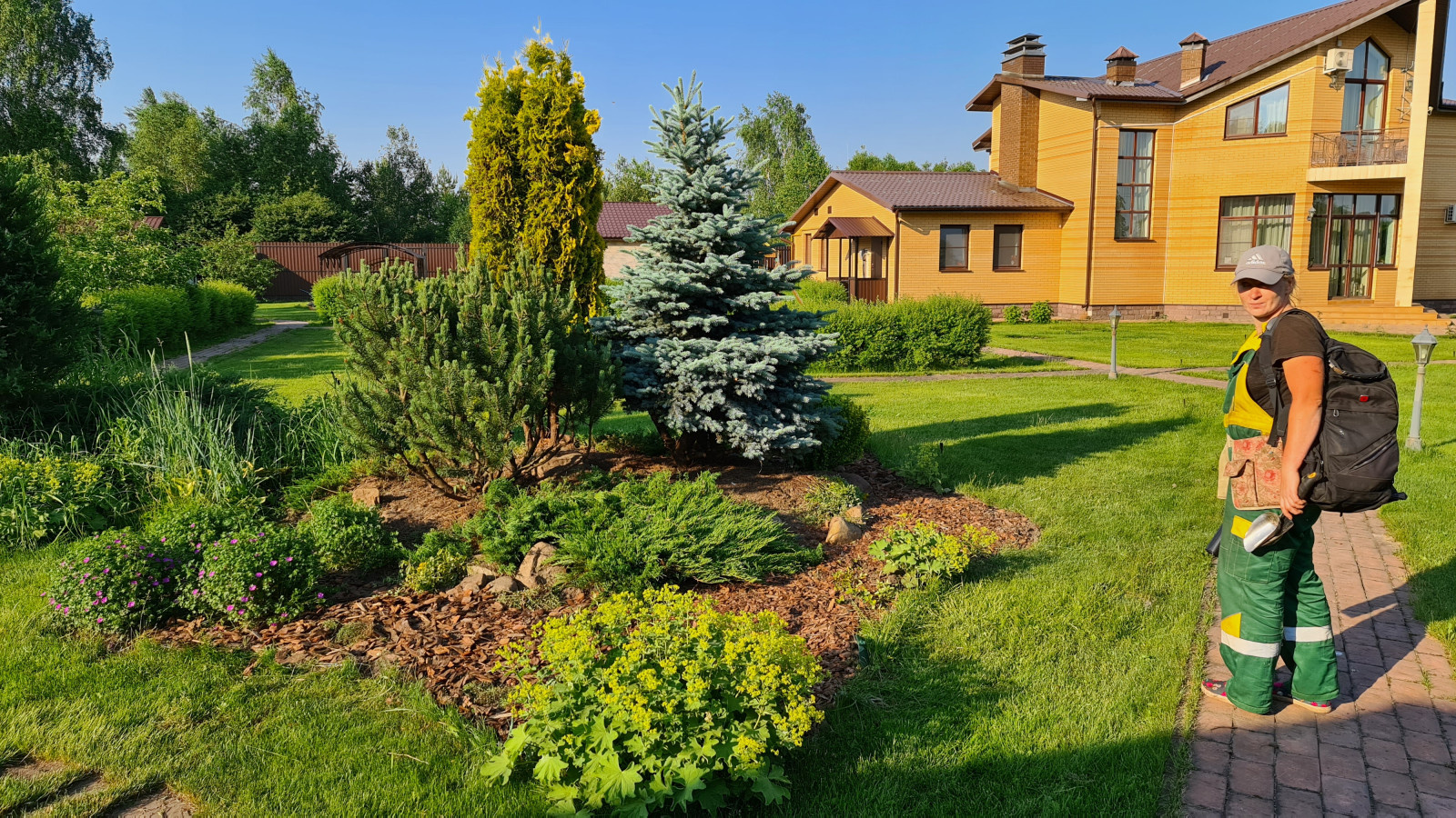 Посадка растений, озеленение