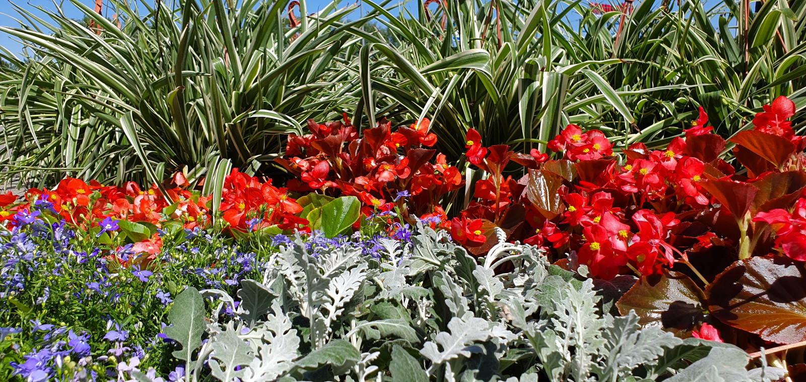 Посадка растений, озеленение