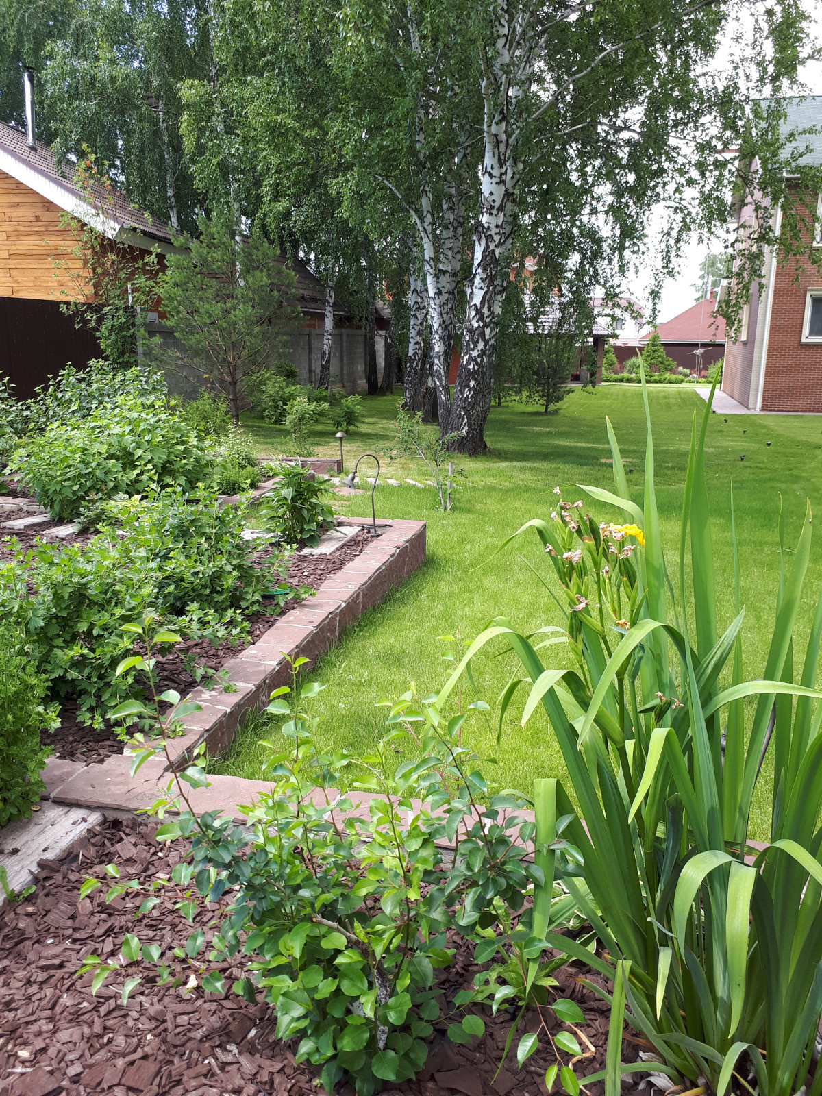 Сад для молодой семьи