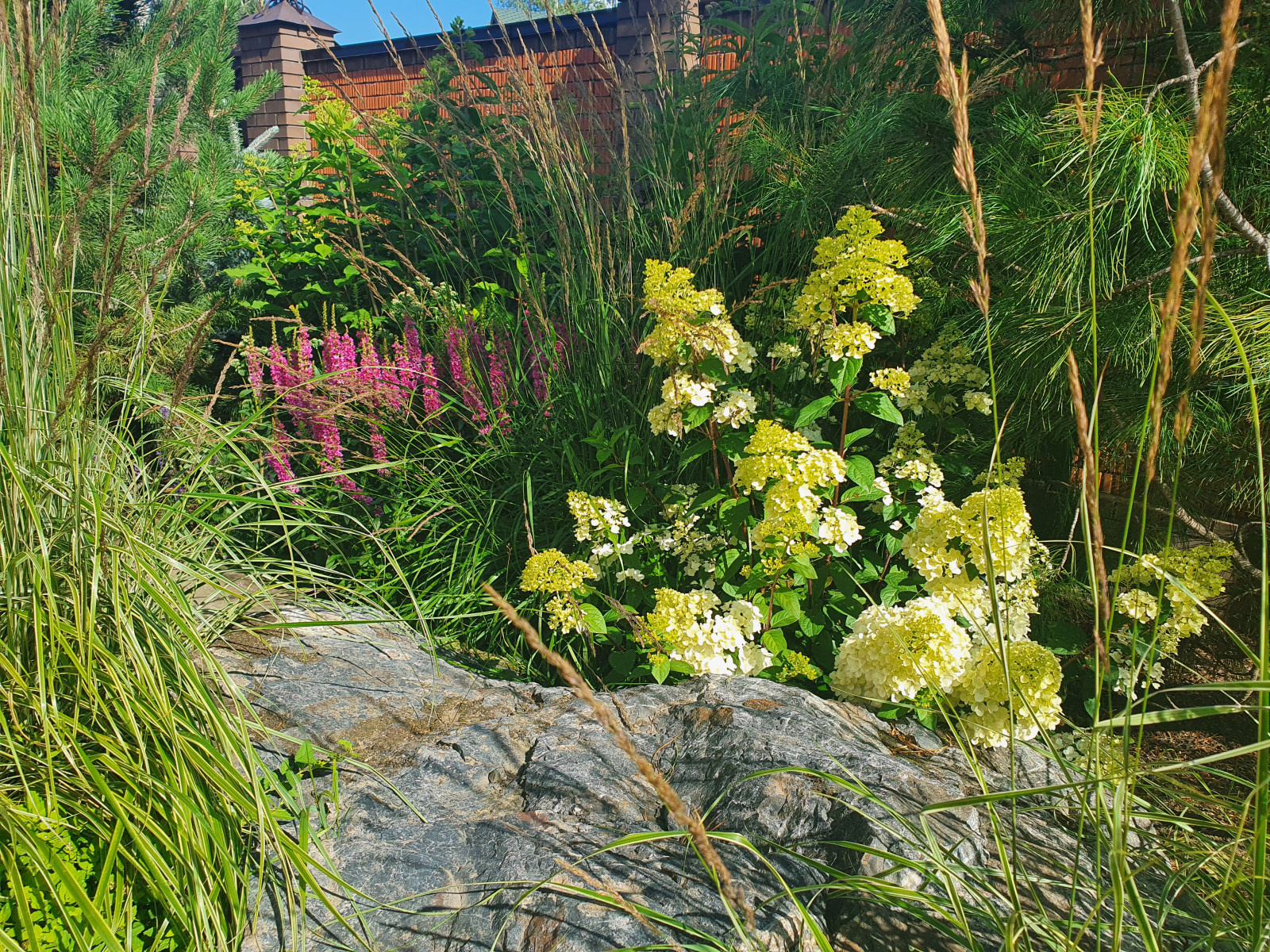 Сад для молодой семьи